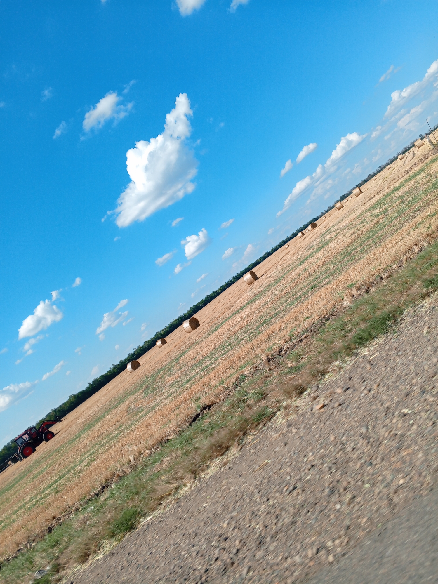 The image depicts a rural scene in Beysug, Russia, characterized by a vast field of harvested wheat with numerous round hay bales scattered across it. The field is angled diagonally across the frame, receding into the distance under a bright blue sky dotted with fluffy white clouds. A red tractor is visible in the lower left portion of the image, positioned at the edge of the field, suggesting agricultural activity. The ground in the foreground is a mix of soil and small stones, indicating a rural road or path. The overall impression is one of a sunny day in the countryside during harvest season.