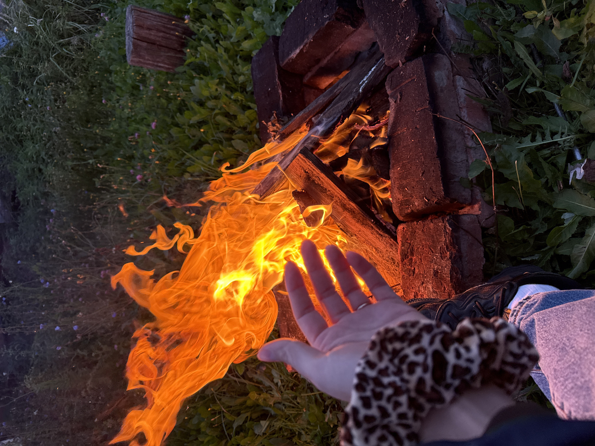 A close-up shot shows a person's hand, adorned with a leopard-print scrunchie on their wrist, extended towards a roaring bonfire. The fire, composed of vibrant orange and yellow flames, is built within a makeshift fire pit constructed from red bricks. Burning logs are visible at the base of the fire. The surrounding environment is a grassy area with scattered wildflowers and a wooden stump in the background, suggesting an outdoor, possibly rural setting. The lighting indicates it is likely dusk or evening. The image captures a moment of warmth and comfort offered by the campfire. No specific location in Imelevo, Russia is identifiable from the visual information provided.
