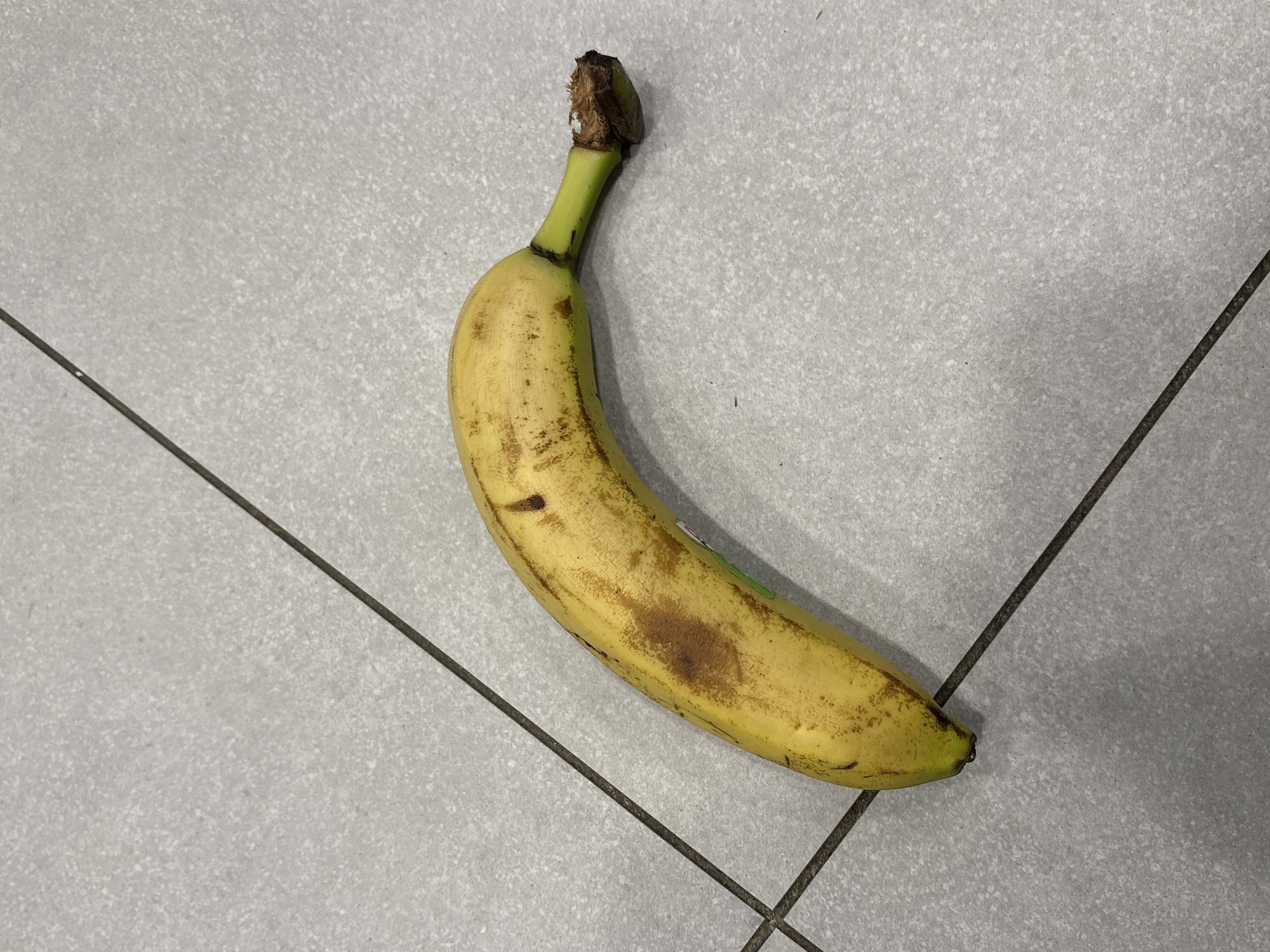 The image shows a single ripe banana lying on a light grey tiled floor, presumably indoors in Sofia, Bulgaria. The banana is primarily yellow, with several brown spots scattered across its skin, indicating ripeness. Its stem is green, transitioning into a darker, slightly frayed brown at the very top where it was likely detached from a bunch.
The banana is positioned diagonally across the frame, with its stem pointing towards the upper left. A small, unreadable green sticker is visible on the side of the banana, towards its center.
The background consists of light grey square tiles with a subtle, speckled texture. Dark grey grout lines define the edges of the tiles, creating a grid pattern on the floor. One prominent grout line runs diagonally from the bottom left towards the upper right, passing underneath the banana, and another perpendicular line intersects it towards the bottom of the frame. The lighting appears even and consistent, suggesting an indoor environment with ambient or artificial light, with no specific time of day or weather discernible. There is no activity or event taking place, just the banana resting on the floor. No people or other objects are visible.