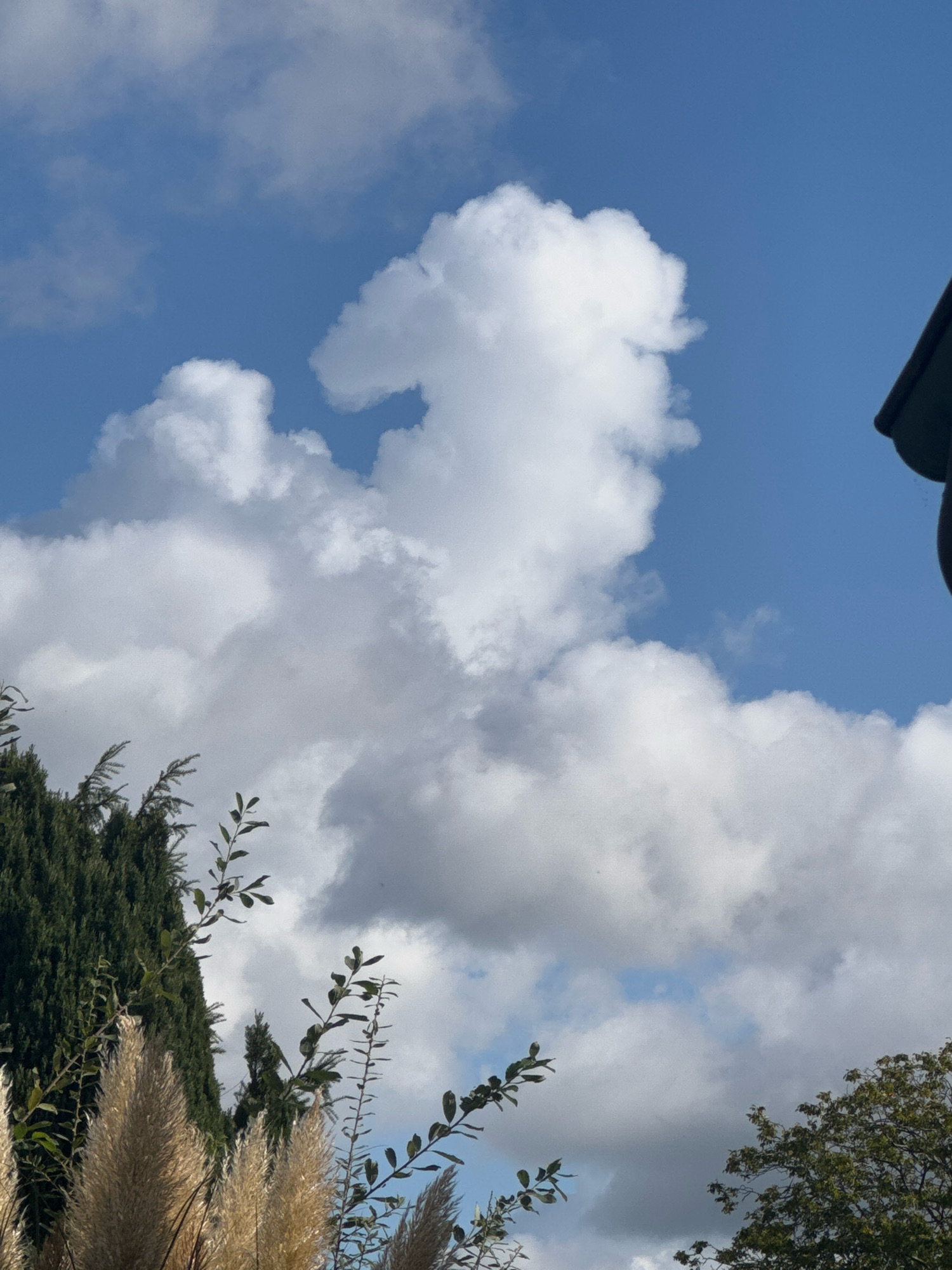 The image shows a bright blue sky with scattered white cumulus clouds. A large cloud formation in the upper center of the image resembles a dog's head with a snout and floppy ears. In the lower left corner, the top of a tall, dark green evergreen tree is visible, along with some feathery, pale brown plants. The upper right corner shows a dark, angled roofline, possibly belonging to a building. The scene is outdoors and appears to be a daytime shot, likely taken in Cleves, Germany, judging by the provided context. There are no people or animals depicted in the image.