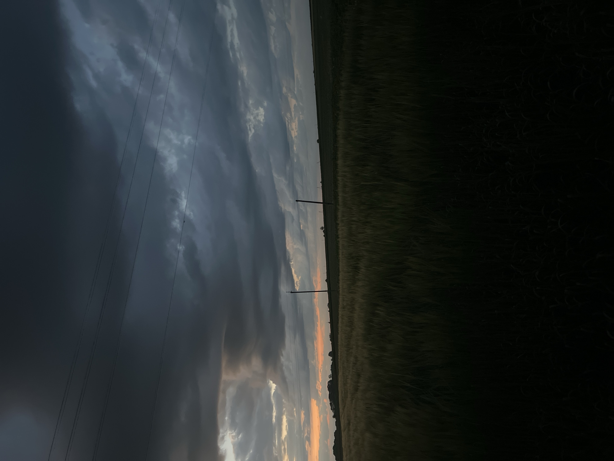 A dimly lit field of tall grass is illuminated by the orange glow of a sunset peeking through dark, ominous storm clouds. The field stretches towards a flat horizon dotted with a few trees and utility poles. Power lines crisscross the sky. The overall mood is somber, with the impending storm casting a heavy shadow over the landscape.