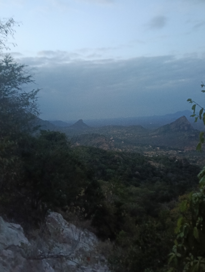 This image depicts a wide panoramic view of a natural, hilly landscape in Kalitini Centre, Kenya, captured during low light conditions, likely dawn or dusk. The foreground on the left features dark, silhouetted tree branches and light-colored, rocky terrain. The middle ground and background consist of multiple undulating hills and mountains, densely covered in dark green vegetation, receding into the distance. Prominent, distinct peaks are visible on both the left and right sides of the mid-distance. The sky above is overcast with diffuse, light grey clouds, showing no direct sunlight. No human subjects, structures, or specific actions are discernible within the frame. The overall environment is wild and undeveloped, dominated by natural topography and dense flora.