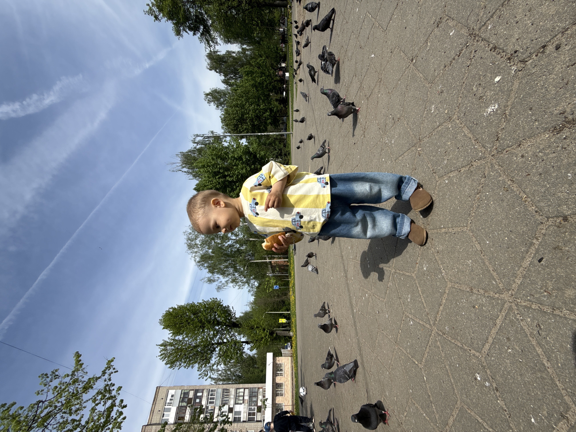A young boy stands on a paved surface surrounded by pigeons, holding a piece of bread in his hands. He is wearing a yellow and white striped shirt with blue jeans and brown shoes. The pavement is gray with a geometric pattern and scattered bird droppings. Several pigeons are nearby, some walking and others standing. In the background, there are trees, a building, and a sky with wispy clouds. The location appears to be a city park or public space.