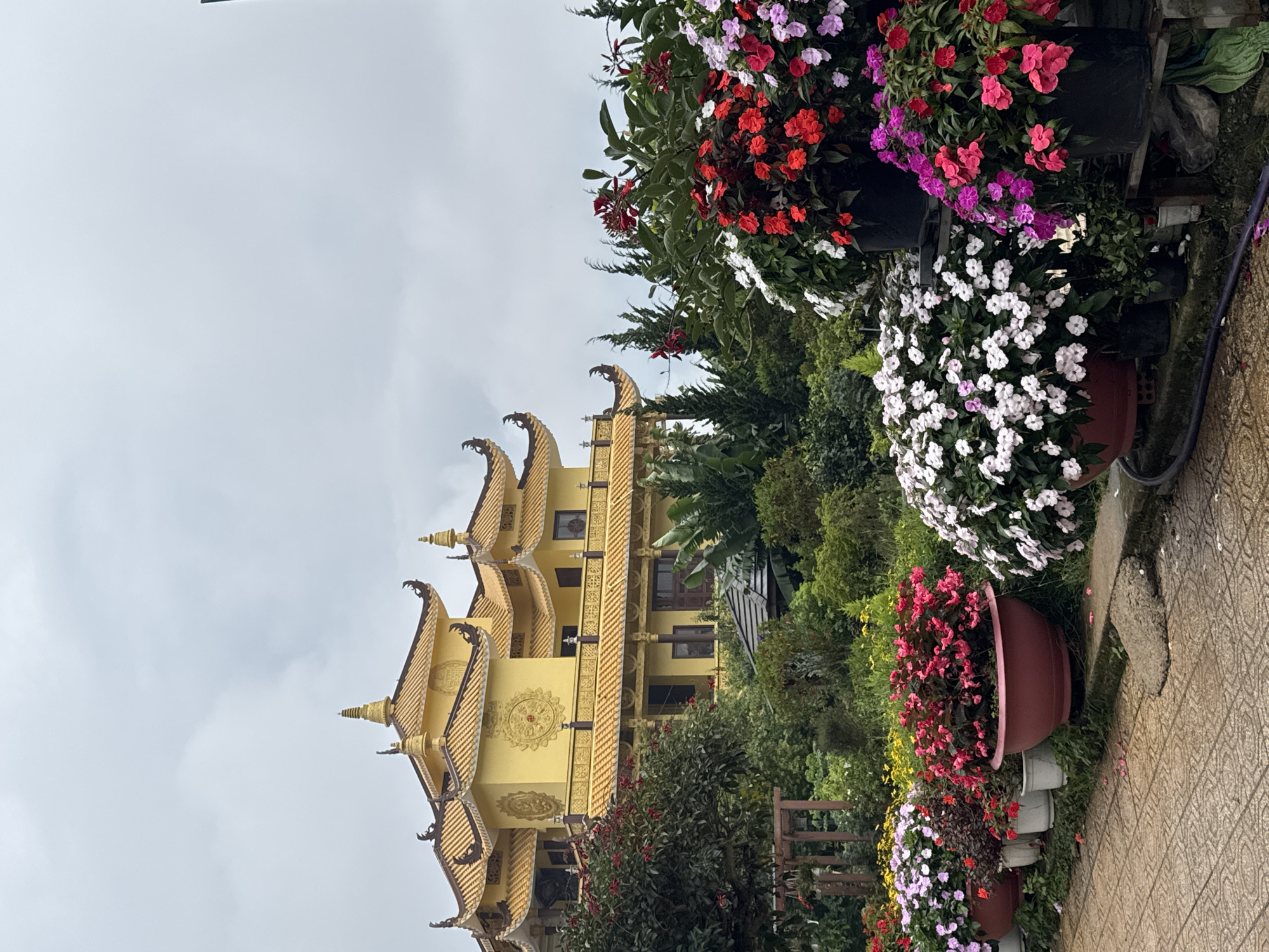A golden Buddhist temple with tiered, ornate roofs stands prominently in the background, set against a cloudy sky. In the foreground, a vibrant display of potted flowers creates a colorful border along a paved walkway. The flowers are arranged in various containers, including large terra cotta pots and black planters, showcasing a mix of pink, red, white, and purple blooms. Lush green foliage and trees surround the temple and the flower arrangements, suggesting a well-maintained garden or park setting. The overall scene is serene and picturesque. This appears to be the Linh Phuoc Pagoda, a famous landmark in Da Lat, Vietnam, known for its intricate architecture and extensive flower gardens.