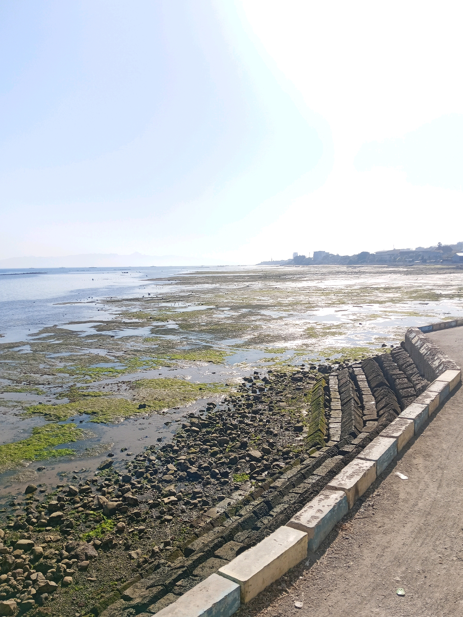 The image depicts a coastal scene in Kupang, Indonesia, likely during low tide. The foreground shows a paved pathway with concrete barriers lining its edge. Adjacent to the pathway is a rocky embankment covered in patches of green algae. Beyond this, the shallow water reveals a muddy seabed interspersed with more algae and scattered rocks. In the distance, the sea stretches towards a hazy horizon with faint outlines of landmasses and buildings, suggesting a city or town along the coast. The sky is clear and bright, indicating a sunny day. There are no people visible in the immediate foreground or midground.