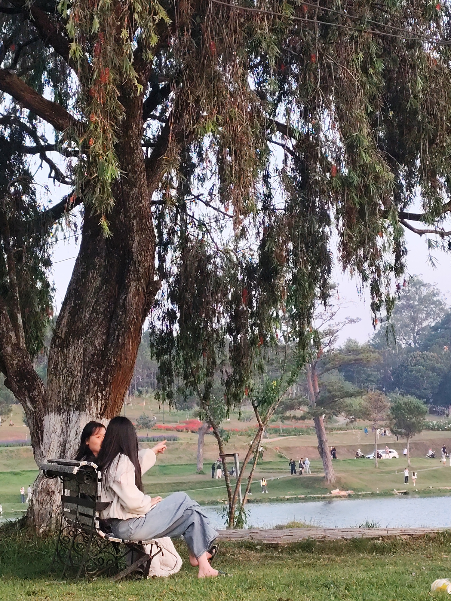 Two women sit on a wrought-iron bench beneath a large tree with hanging foliage in a park. One woman points her right arm towards a body of water. People are scattered across the grassy landscape beyond the lake. The scene is likely in the city of Da Lat, Vietnam.