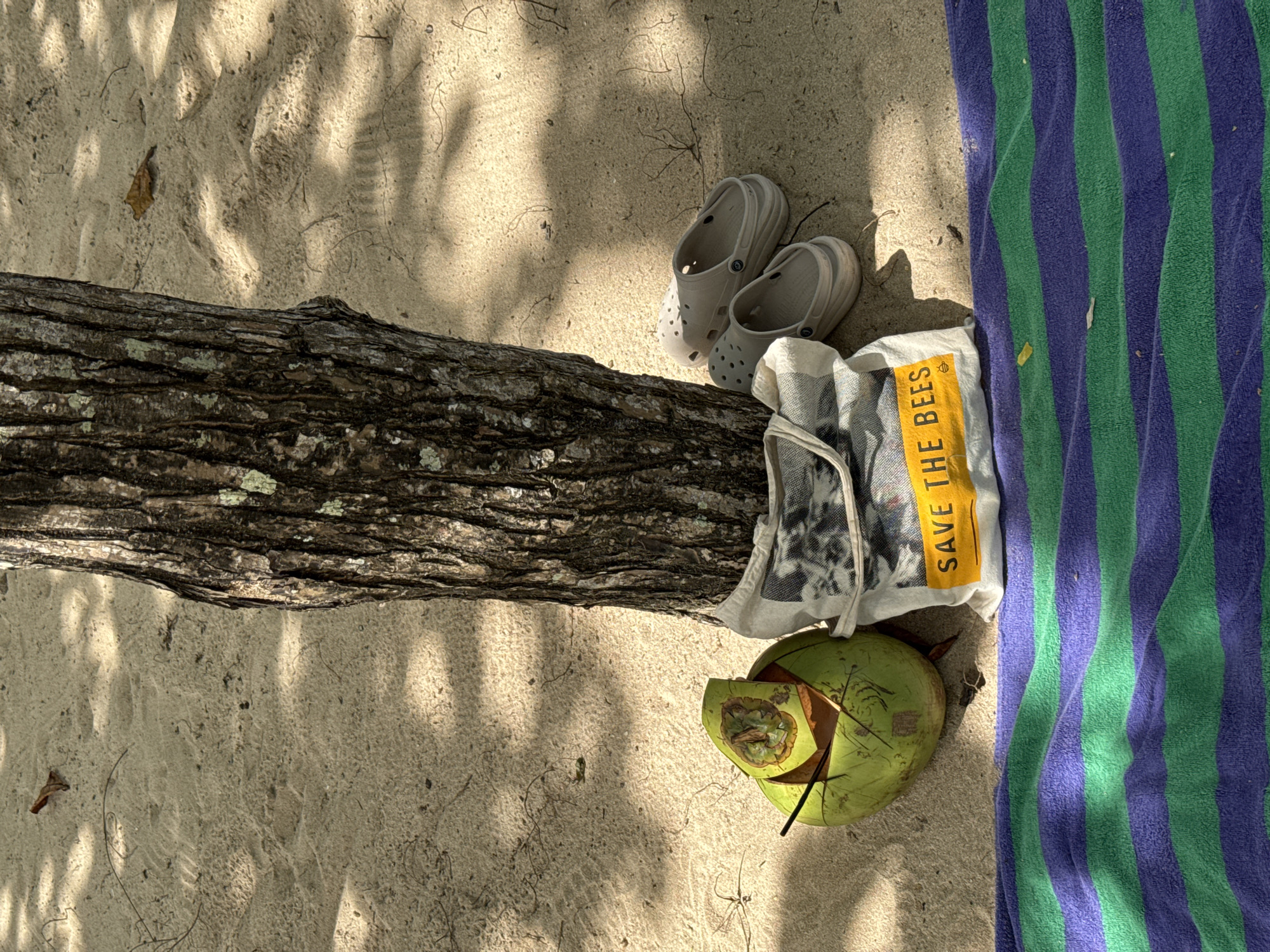 The image shows a scene at a beach in Kuta Selatan, Indonesia. A tree trunk lies diagonally across the sandy beach. Next to the trunk, towards the right, there's a pair of grey Crocs, a white bag with a yellow vertical stripe bearing the text "SAVE THE BEES," a cracked open green coconut with a straw sticking out, and a blue and green striped towel. The sand is light brown, with scattered twigs and leaf debris. The scene is partially shaded, creating contrasting light and dark patterns on the sand.