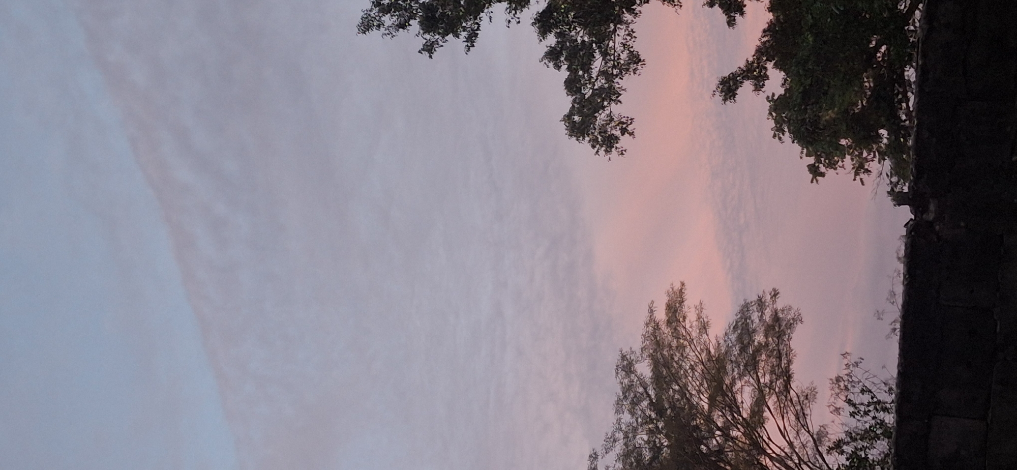 The image depicts a sky at dusk or dawn, with a palette of pale blue, pink, and light purple hues. The sky is partially obscured by trees located in the top and bottom portions of the image. A dark, solid structure appears in the bottom right corner, suggesting a building or wall. The location is Vallecito, Venezuela.