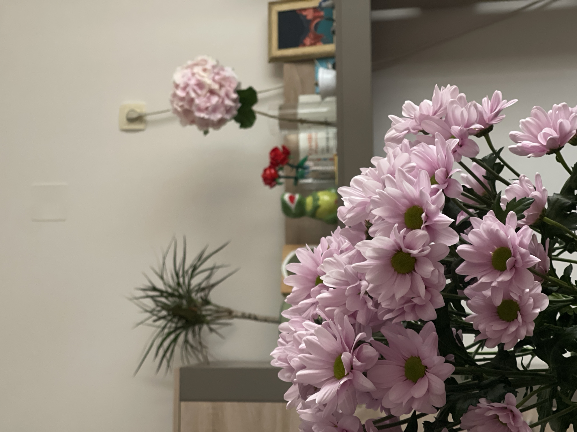 The image depicts a room interior. Dominating the right side of the frame is a bouquet of light purple daisies with green centers and dark green foliage. Moving leftward, a potted plant with spiky, dark green leaves is visible against a light wall. Further left, a light switch is mounted on the wall. In the background, there is a blurred shelving unit with a framed artwork on top. There are also red flowers in the shelf. No people are visible. There is no information to place this photo within the city of Budva, Montenegro.