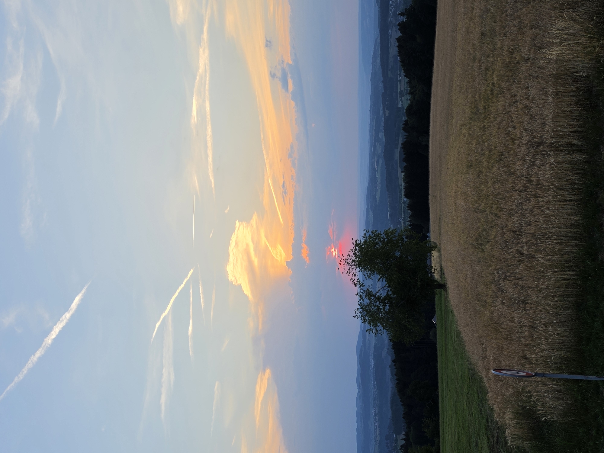 The image depicts a rural landscape at sunset, likely in or around Andwil (SG), Switzerland. In the foreground, a field of ripe wheat stretches across the lower half of the frame, its golden stalks catching the fading light. To the left of the wheat field is a patch of green grass, and a road sign with a red circle and a horizontal bar is visible. A solitary tree stands at the edge of the wheat field, its branches silhouetted against the sky. In the mid-ground, a dark band of trees forms a forest line. The background shows rolling hills and a distant landscape fading into a dusky haze. The sky is a dramatic canvas of twilight colors, with hues of orange, yellow, and pink from the setting sun illuminating the clouds. Several white contrails from airplanes streak across the pale blue sky. The overall impression is one of tranquility and natural beauty at the end of the day.