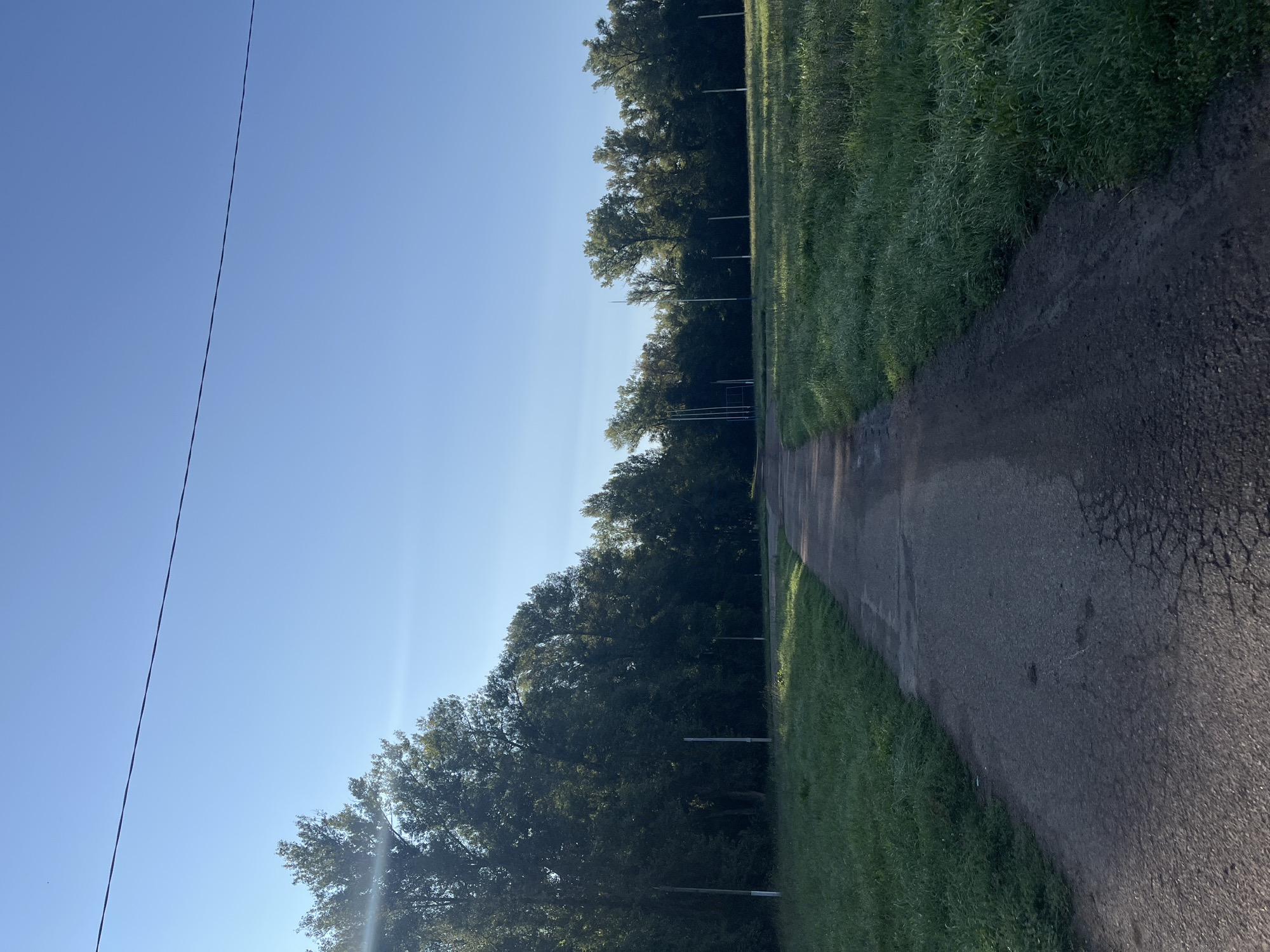 A paved path, cracked in places, leads into a grove of tall, dense trees under a clear blue sky. The path is flanked by a grassy field on the right and a line of trees on the left, interspersed with tall, thin poles. A single thin wire runs horizontally across the upper portion of the frame, casting a faint shadow on the sky. The sun is shining, creating lens flare on the left side of the image. The scene appears to be an outdoor recreational area or park, possibly located in Blagoveshchensk, Russia, given the context provided. There are no people or animals visible in the image.