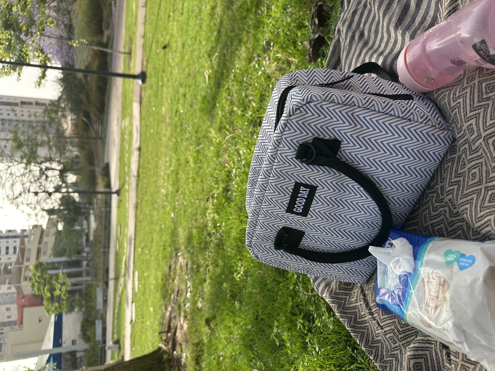 The image depicts a picnic scene in a park in Petah Tikva, Israel. A patterned picnic blanket is spread on the green grass. On the blanket, there's a "GOOD DAY" lunch bag with a blue and white chevron pattern, a pink water bottle, and a package of baby wipes. The background includes trees, a paved pathway, and apartment buildings, typical of an urban park setting in Petah Tikva.