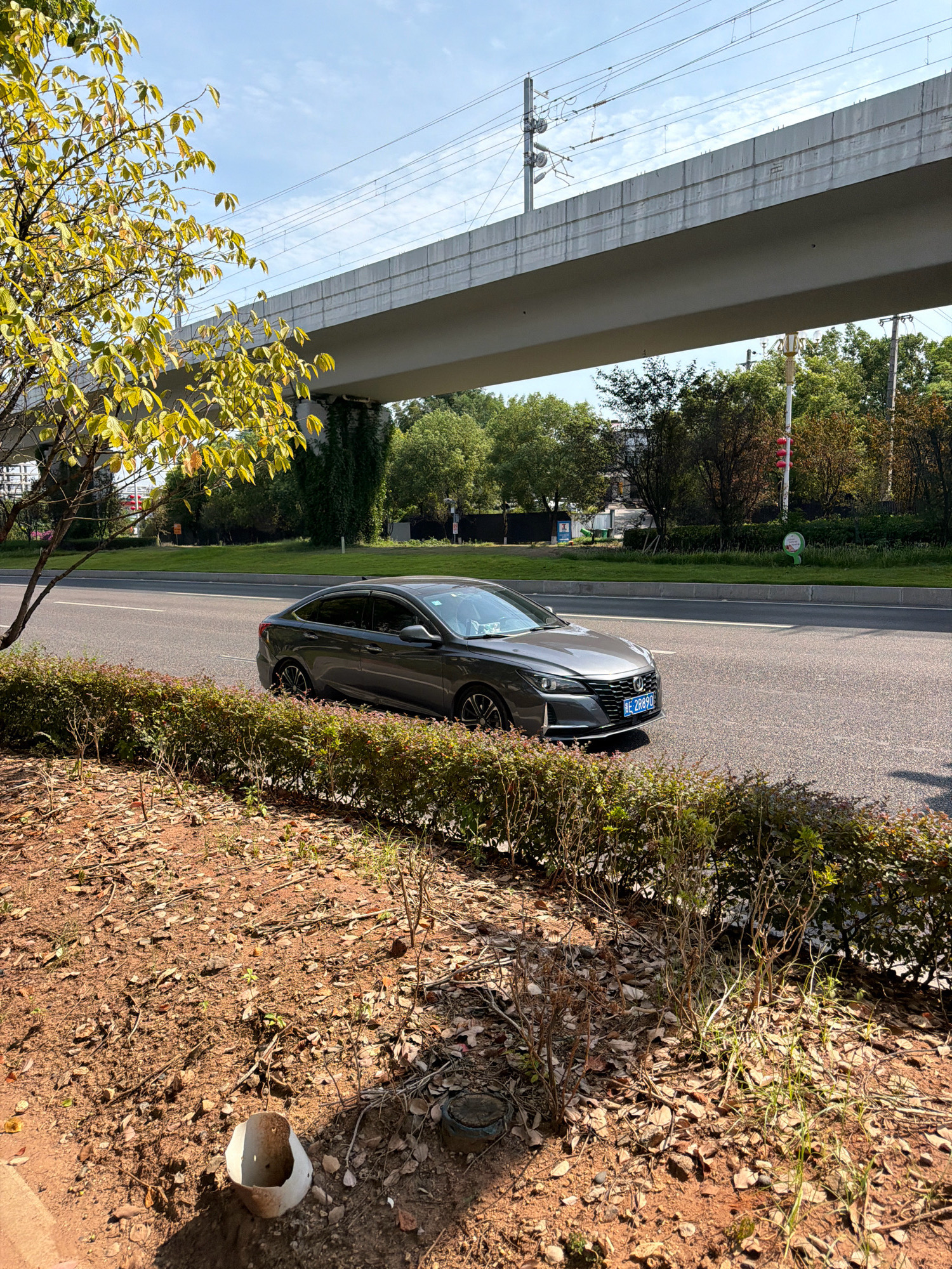 In Jiangjin, China, a gray sedan is driving on a paved road. The car is positioned in the right lane of the two-lane road, moving from left to right in the frame. The vehicle has a license plate that reads "JDE 2R890". The road is bordered by a low hedge on the left and a grassy area on the right, with trees in the background. Above the road, an elevated structure, possibly a bridge or overpass for a train, is visible with overhead power lines. The foreground shows a patch of dry, reddish-brown soil with scattered leaves and debris, and a broken white plastic pipe lying on the ground. The sky is clear and blue. A tree with yellowing leaves is on the far left of the image, partially obscuring the elevated structure. The overall scene depicts an urban or suburban environment on a sunny day.