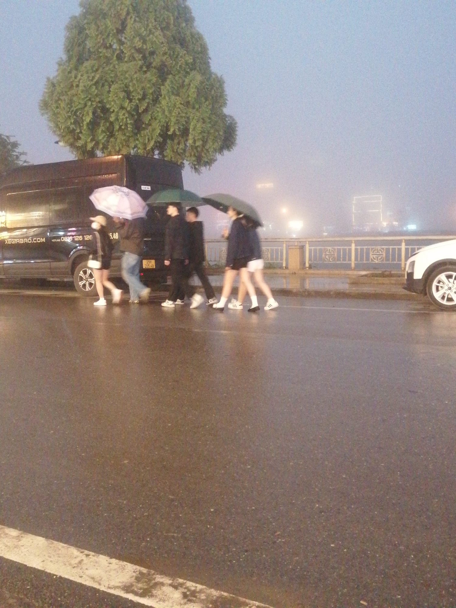 The image depicts a rainy scene on a wet street, likely in an urban area. A group of approximately five people is walking along the sidewalk, each holding an umbrella. The weather appears to be overcast or foggy, reducing visibility of the buildings on the other side of the river.
Several vehicles are parked on the side of the road, including a black van with "XEGIMBAO.COM" and a phone number on its side, and a white car. In the background, there is a building with lights visible through the mist. A prominent tree is positioned near the van. The license plate of the van is visible. The photo was likely taken in Sa Pa Ward, Vietnam.