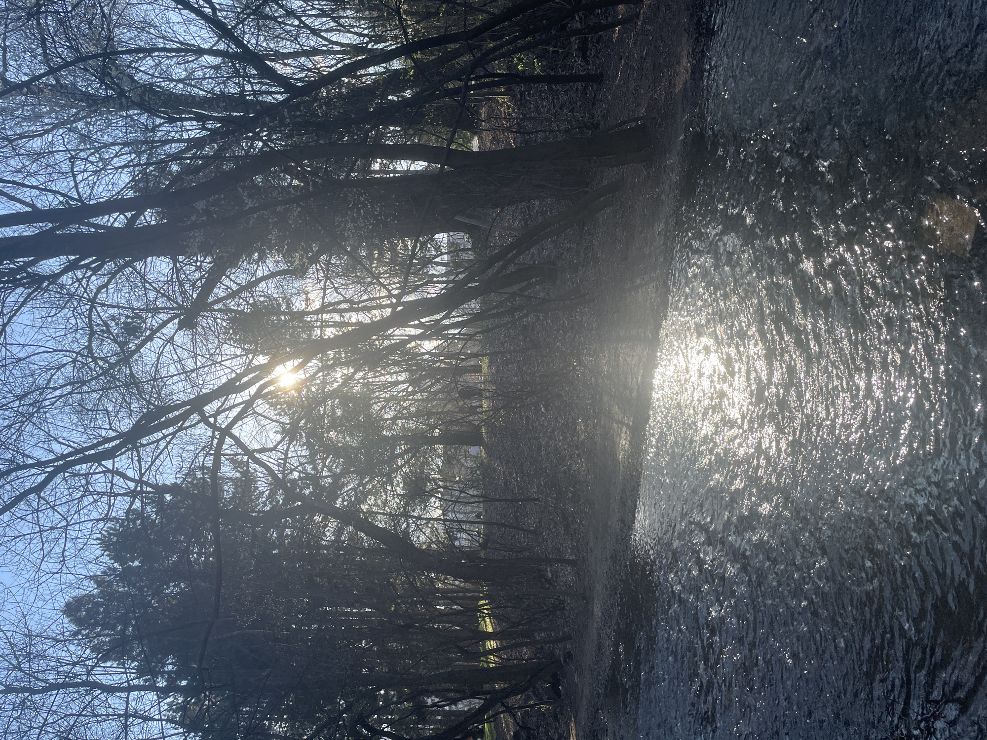 The image shows a body of water, likely a stream or river, with sunlight reflecting off the surface. The water appears to be flowing. The banks of the water are lined with trees, mostly bare of leaves, their branches creating a dense canopy overhead. The sun is visible through the branches, creating a bright glare and obscuring details further down the path. The scene has a natural, somewhat wild feel. There is no evidence or mention of the image location being Sofia, Bulgaria.
