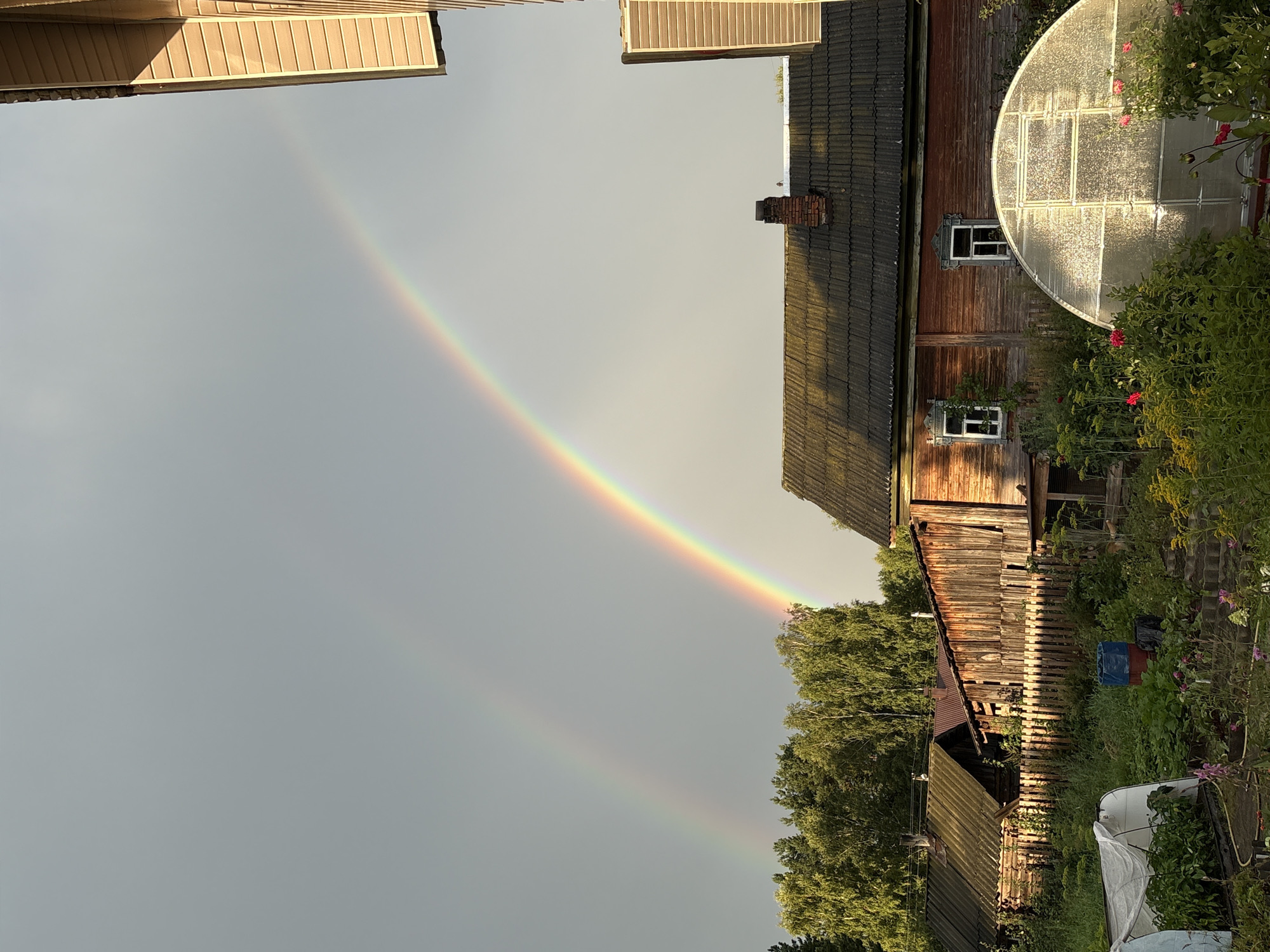 The image depicts a rural scene in the city of Vetluzhsky, Russia, featuring a double rainbow arcing across a gray sky. In the foreground, a garden is visible with various plants, flowers, and a greenhouse. Several wooden structures, including houses and sheds, are present in the midground, with a wooden fence separating the garden from the buildings. The overall atmosphere suggests a post-rain scene in a countryside setting. There are no people visible in the image.