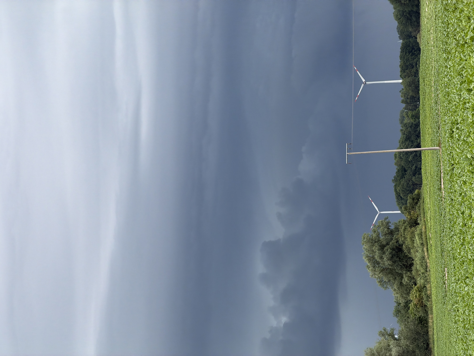 The image depicts a rural landscape under a dramatic, overcast sky. In the foreground, a field of lush green crops, possibly beets, stretches across the frame. A single utility pole with wires stands in the middle ground, interrupting the expanse of the field. Further in the distance, a line of trees forms a backdrop, with several wind turbines visible amongst them. The clouds are dark and heavy, suggesting impending rain or a storm. The overall impression is one of natural power and impending weather change.