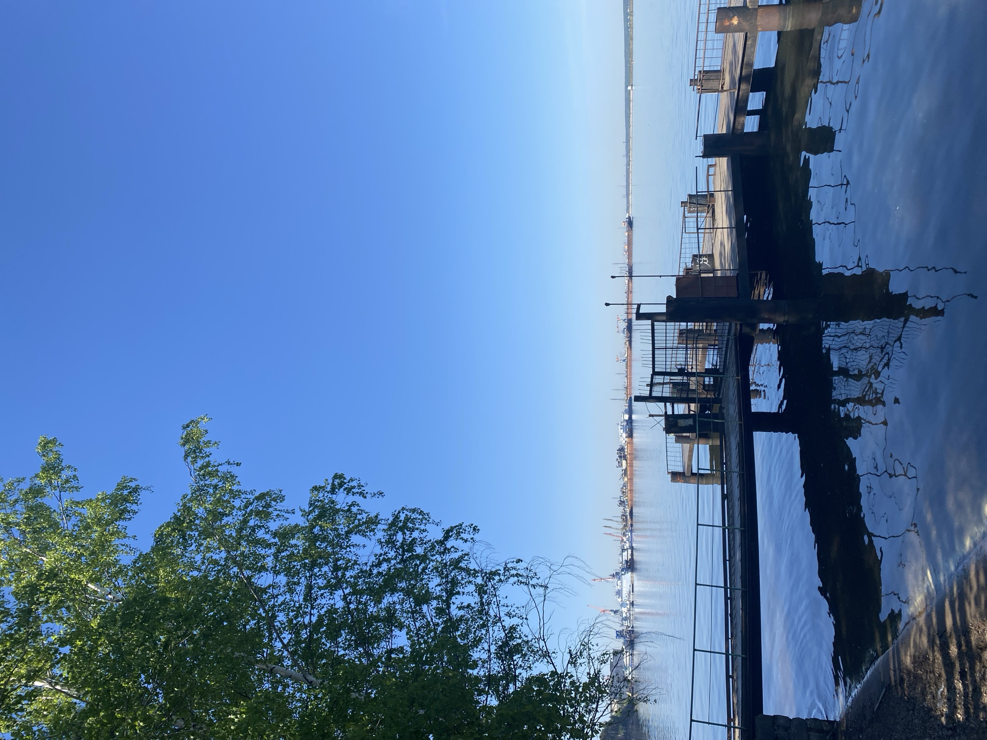 The image shows a view of the Kama River in Chaikovsky, Russia. A tree is in the lower left of the frame, and a concrete and metal pier extends into the water on the right. In the background, across the river, are cargo ships, cranes, and other industrial structures. The sky is blue and clear.