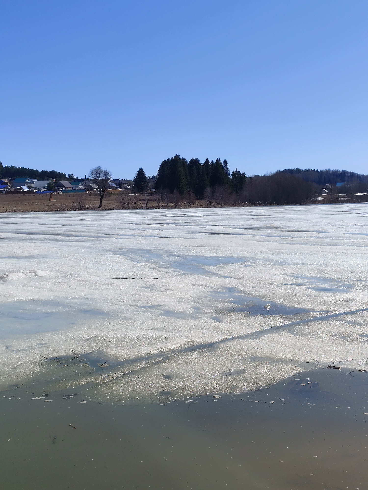 The image depicts a partially frozen lake in the city of Фоки, Russia. The foreground shows murky water with some debris floating on the surface. The middle ground reveals a large expanse of ice and slush, reflecting the sunlight. In the background, there's a line of trees including some bare branches. A few houses are visible on the left side of the image. The sky is clear and blue.