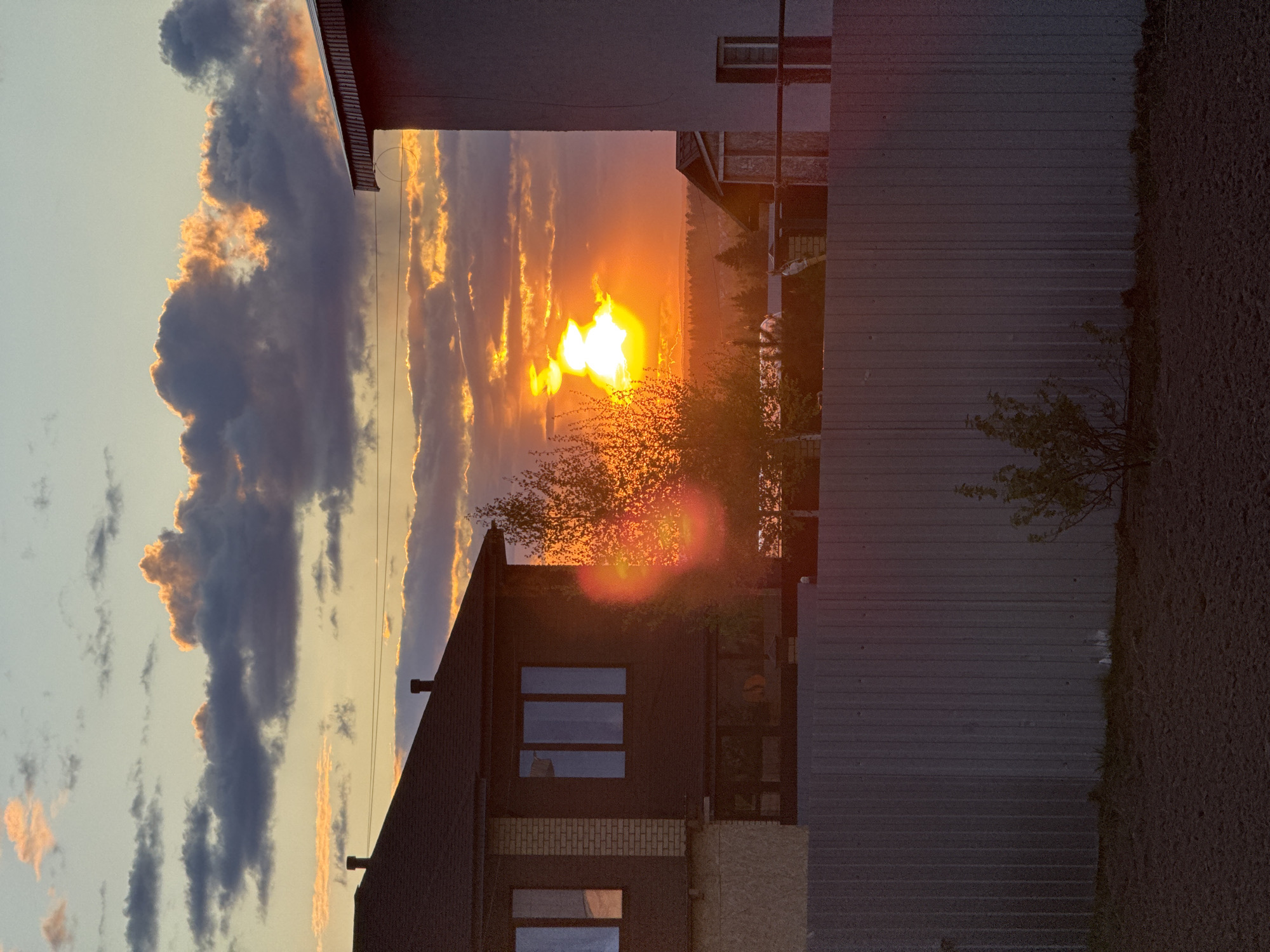 The image shows a sunset viewed between buildings and a fence. The sun is low on the horizon, appearing bright yellow-orange and obscured by a tree. Clouds are present in the sky, some reflecting the colors of the sunset. The foreground includes parts of buildings, with visible windows and roofing. A metal fence runs vertically on the right side of the image. The location, as specified, is in the city of Izhevsk, Russia. No people are visible.