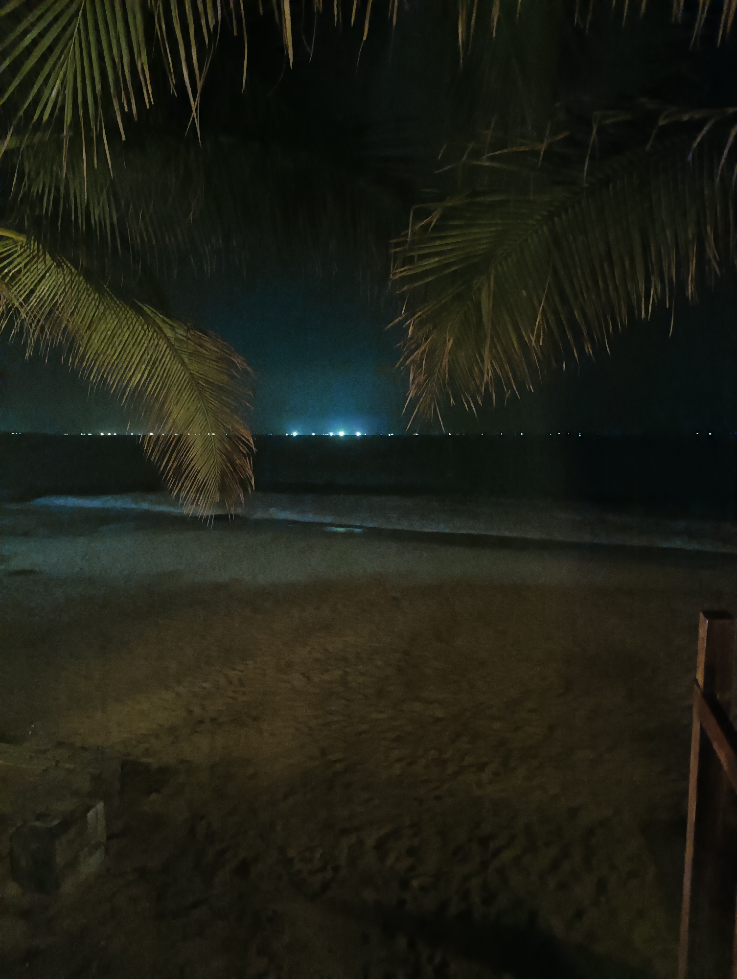 The image depicts a night scene at a beach, likely in Mũi Né, Vietnam, indicated by the presence of palm fronds framing the top of the shot. The foreground consists of dark, sandy beach, with two small, indistinct, dark rectangular objects on the left side, possibly discarded items or small structures. To the right, a portion of a wooden post or railing is visible, suggesting a man-made structure like a fence or a part of a beach hut.
The middle ground reveals the ocean, with gentle waves breaking on the shore. The water is dark, reflecting the night sky. In the background, a faint horizon line separates the sea from the sky. Along this horizon, a series of small, distant lights are visible, suggesting a settlement or a fleet of boats. The sky is dark, with a hint of ambient light, and appears to be clear. The overall impression is one of a serene, quiet night by the sea, with the presence of distant human activity hinted at by the lights on the horizon.