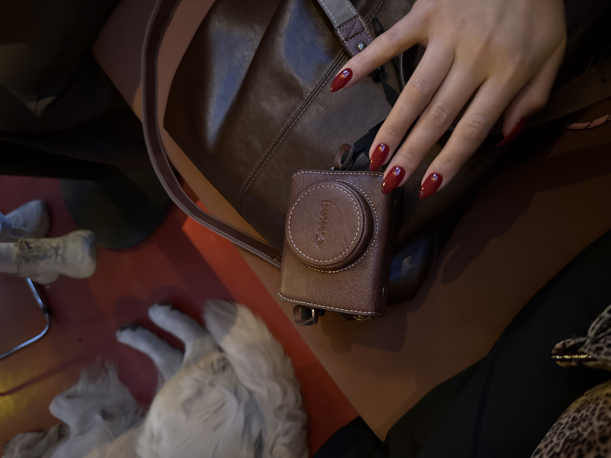 The image shows a person with manicured, dark red almond-shaped nails. Their hand rests on a brown leather handbag with a camera case attached. The camera case is also brown leather and appears to be a Canon case. The scene is likely indoors, perhaps in a cafe or restaurant, given the presence of a dog lying on the floor near the bottom left of the frame. The surface upon which these items sit appears to be a mix of orange and brown. The specific location in Yerevan, Armenia, cannot be determined from the image alone.