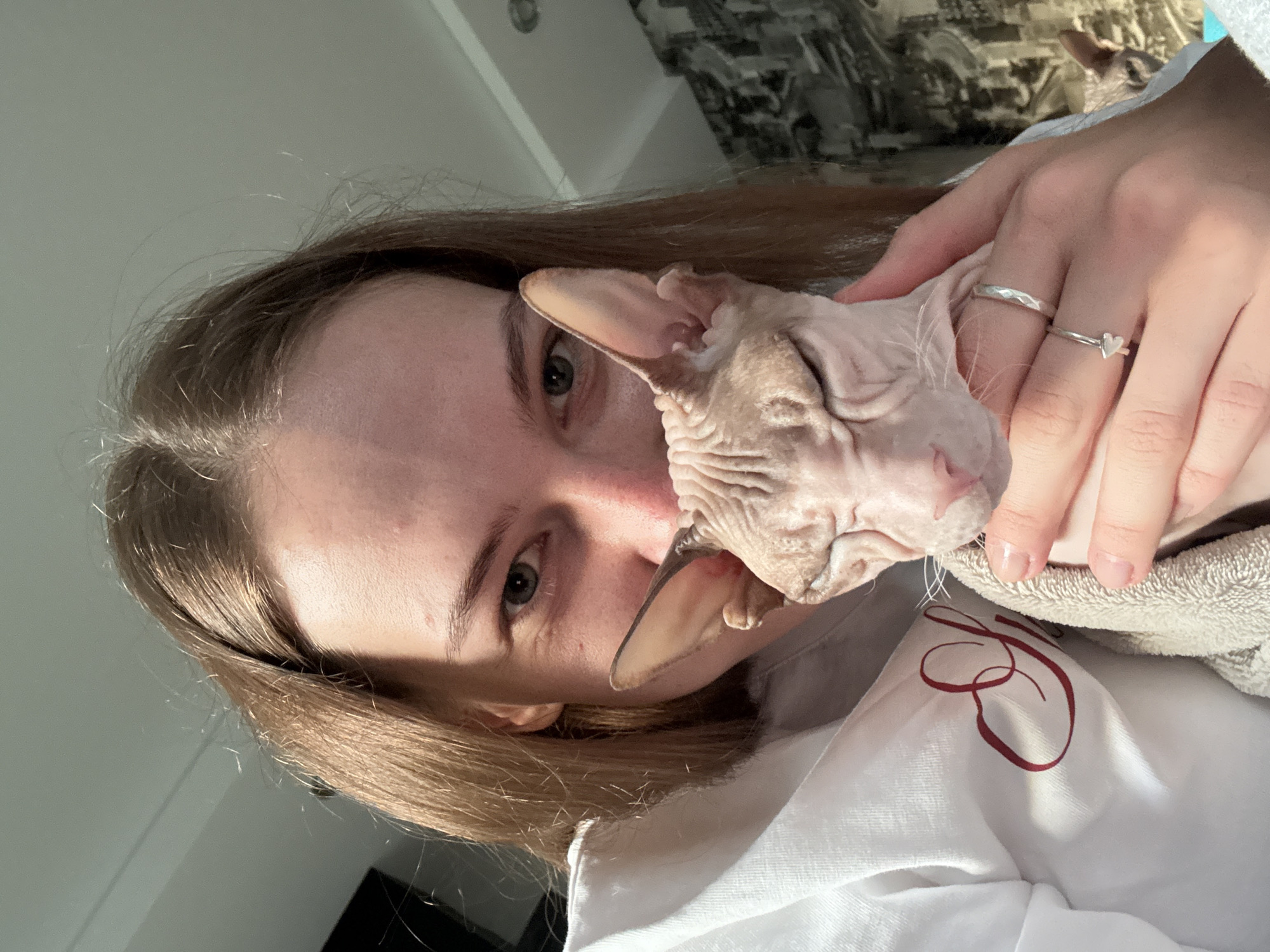 A young woman with long brown hair is holding a light-skinned Sphynx cat. The cat's eyes are closed, and its head is resting on the woman's chest, partially obscuring her face. The woman is wearing a white hooded sweatshirt with a burgundy decorative script. She has two silver rings on her right hand. The background shows a wall with patterned wallpaper and a ceiling. The scene appears to be indoors. The image was taken in Novaya Ivanovka, Russia.