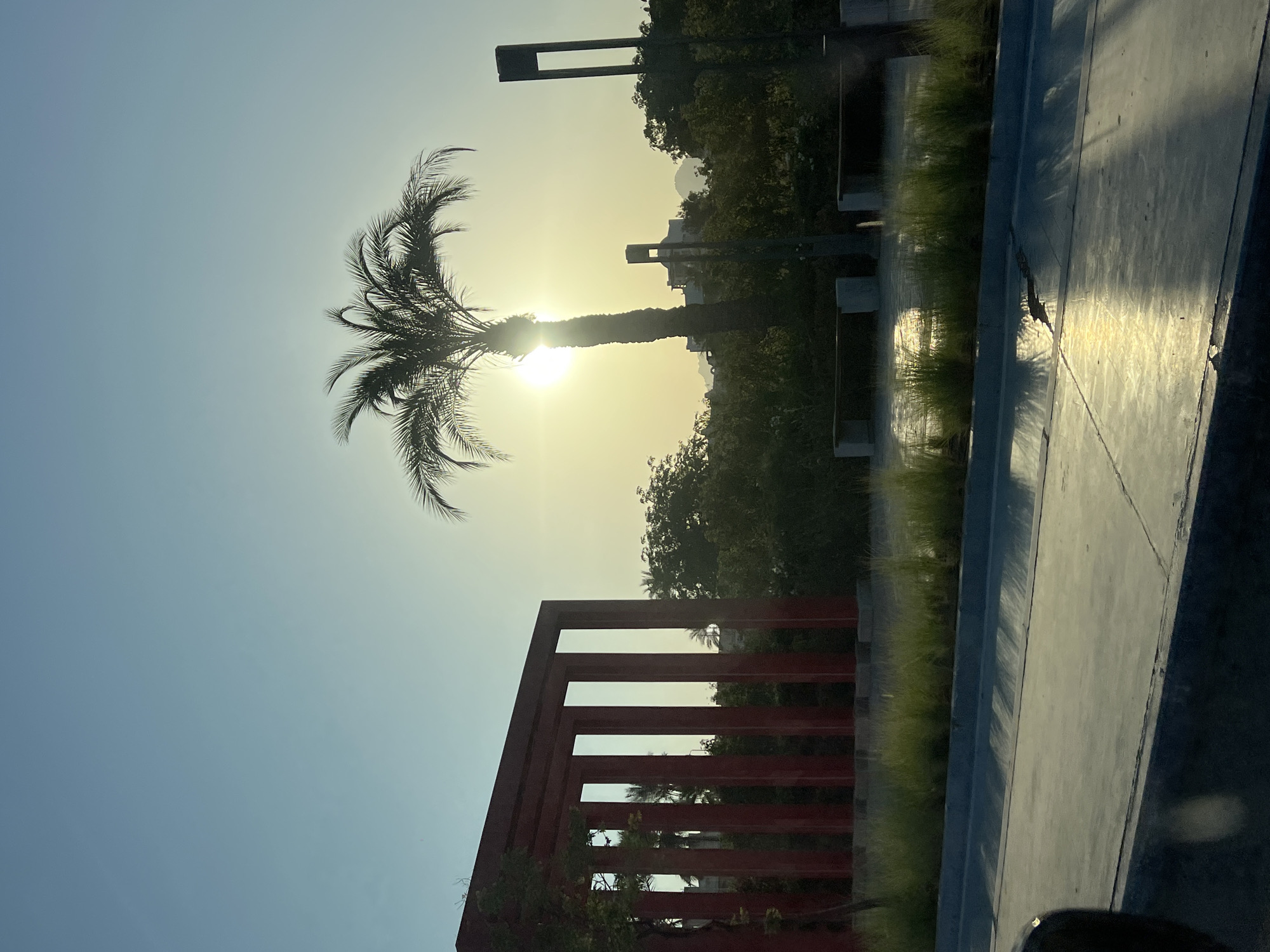 A wide shot shows a park area in Sharm El Sheikh, Egypt, during the late afternoon. The sun, partially obscured by a palm tree, is low in the sky, casting a warm glow and long shadows across the scene. In the foreground, a paved area reflects the sunlight, with a slight crack visible in the surface. A low concrete curb separates the pavement from a strip of green grass and ornamental plants. Behind the grass, two concrete benches are visible. To the left, a red, modern architectural structure with vertical beams stands prominently. The background consists of lush green trees, with a few buildings and hills visible in the distance. The sky is a clear, pale blue. No people are visible in the image.