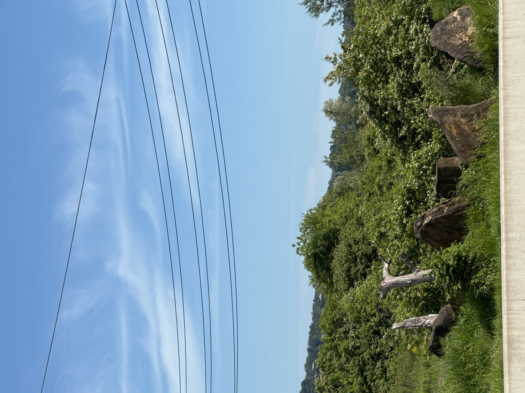 The image presents a daytime scene with a clear, blue sky punctuated by wispy cirrus clouds. Electrical power lines are prominently featured on the left side of the frame, running vertically against the sky. On the right, there is a dense collection of green vegetation, including trees, shrubs, and grass, interspersed with large rocks. A segment of a concrete structure is visible on the far right, possibly part of a wall or building. There are also some branches with the bark removed. The picture does not contain any people or indications of any specific activities. The picture appears to have been taken outdoors in a rural or suburban setting. The location of Nizhnyaya Shilovka, Russia is not evident in the picture.
