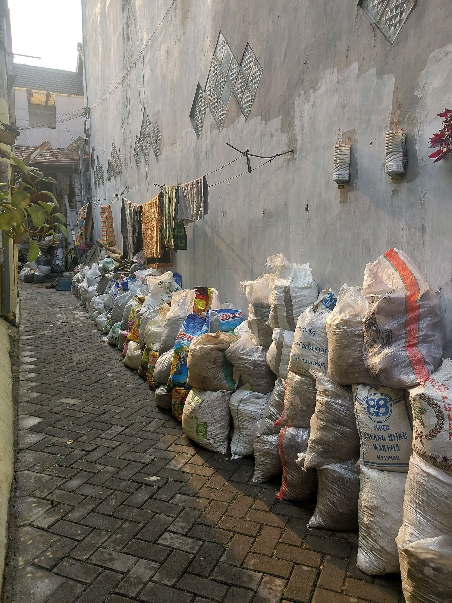 In the city of Malang, Indonesia, a narrow alleyway is lined with numerous large sacks of unknown contents, stacked along the right side of the pavement. The sacks are made of various materials, primarily plastic and burlap, and some bear printed labels, including one that reads "SUPER KACANG HIJAU WAKEMA MYANMAR". The alleyway is paved with interlocking brick pavers, some of which are partially overgrown with small weeds.
On the left side of the alley, a low concrete wall separates it from an adjacent property. Above this wall, a lush green plant with large leaves is visible. Further down the alley on the left, buildings and structures are partially visible, including a tiled roof and what appears to be a construction site with exposed brickwork.
The right side of the alley is dominated by a large, textured concrete wall. The wall has a rough, weathered finish and features diamond-shaped glass blocks embedded at intervals. Several rudimentary light fixtures, fashioned from plastic bottles, are mounted on the wall. Hanging from a clothesline stretched across the alley are various pieces of laundry, including towels and garments, which are drying in the sunlight.
The lighting suggests it is either early morning or late afternoon, with long shadows cast across the alleyway, indicating the sun is low in the sky. The overall impression is one of a utilitarian urban space, possibly a service alley or a storage area, where everyday activities like laundry drying coexist with the accumulation of goods. There are no people or animals visible in the scene.