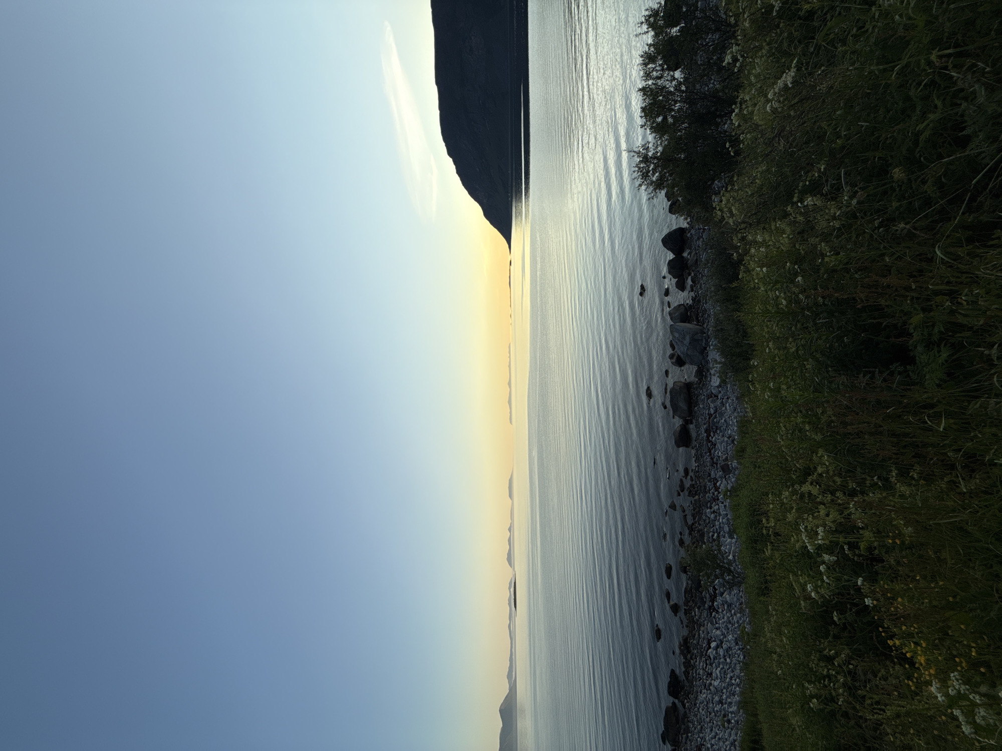 This is a vertical, wide-angle photograph taken at dusk in Harstad, Norway, likely from a vantage point overlooking the sea. The sky is a gradient of clear, pale blue near the top, transitioning to a soft yellow and orange hue at the horizon where the sun is setting. The sea is calm, with gentle ripples reflecting the colors of the sky. In the distance, several islands or peninsulas are silhouetted against the horizon. To the right, a dark, rounded mountain dominates the middle ground. The foreground consists of a rocky shoreline with scattered stones and pebbles, giving way to lush green vegetation, including tall grasses and wildflowers, in the lower portion of the frame. The overall atmosphere is serene and tranquil, typical of a twilight scene in a coastal Nordic landscape.