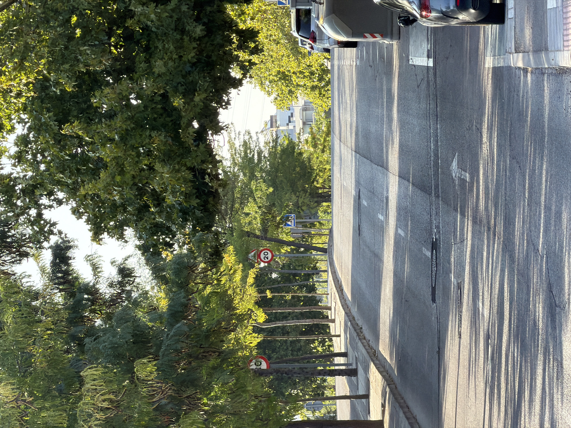The image shows a street scene in Las Rozas de Madrid, Spain. The perspective is from a road looking uphill, with trees lining both sides of the street. There are speed limit signs visible, indicating 20 and another unreadable speed limit. Several cars are parked along the right side of the road, and some buildings can be seen in the distance at the top of the hill. The road surface has some cracks and manhole covers. The lighting suggests it is either early morning or late afternoon, with long shadows cast by the trees across the road.
