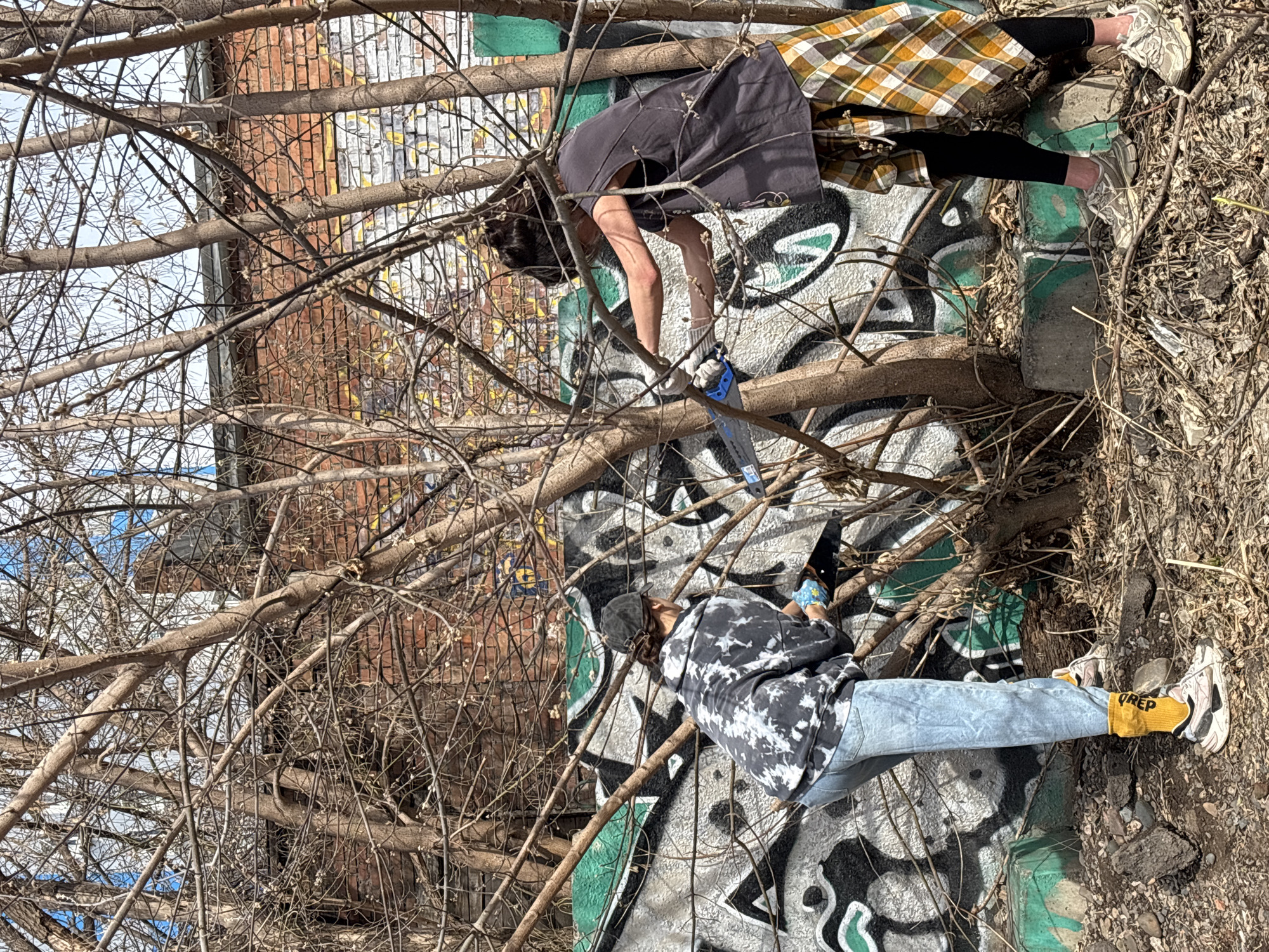 Two individuals are positioned amidst overgrown vegetation and graffiti-covered surfaces. One person, dressed in a dark-colored, short-sleeved garment and a plaid skirt, is crouched and appears to be sawing a tree branch. The second individual, wearing a light-colored tie-dye hoodie and light blue jeans, is also situated within the branches. The environment suggests an urban, possibly neglected area, with brickwork visible in the background. The yellow socks with the word "QREP" are also visible. This scene is likely in Krasnoyarsk, Russia.