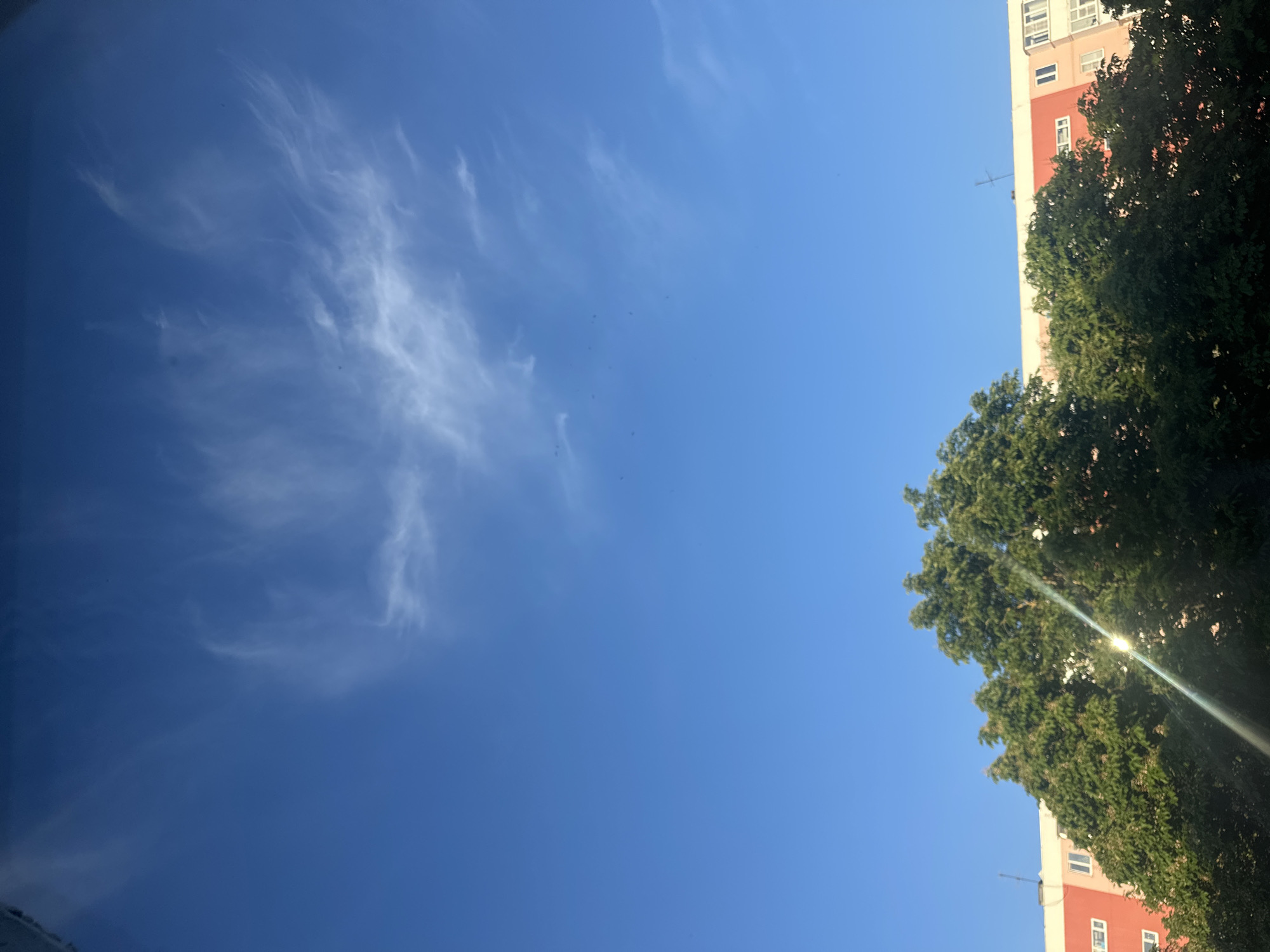 This image captures a vibrant, sunlit daytime scene, dominated by a clear blue sky. The sky, which occupies the majority of the frame, features delicate, wispy white clouds, likely cirrus, stretching across the upper left and central portions. Several tiny dark specks, possibly birds, are scattered across the sky.
On the right side of the composition, a tall, multi-story building is visible, characterized by sections painted in a light cream or white and a distinct reddish-orange. Multiple windows are visible on its facade, and a thin antenna or mast protrudes from its side. Lush, dense green foliage from trees fills the lower right and mid-right, partially obscuring the building and casting some shadow. A bright lens flare, indicative of direct sunlight, emanates from behind or within the trees in the lower right, suggesting a sunny day.
The time of day appears to be during daylight hours, likely mid-morning or afternoon, given the intensity of the light and the clear sky. The trees are fully leafed, suggesting spring, summer, or early autumn. The scene depicts a typical urban or suburban setting, consistent with an environment like Stavropol, Russia. There is no visible text in the image.