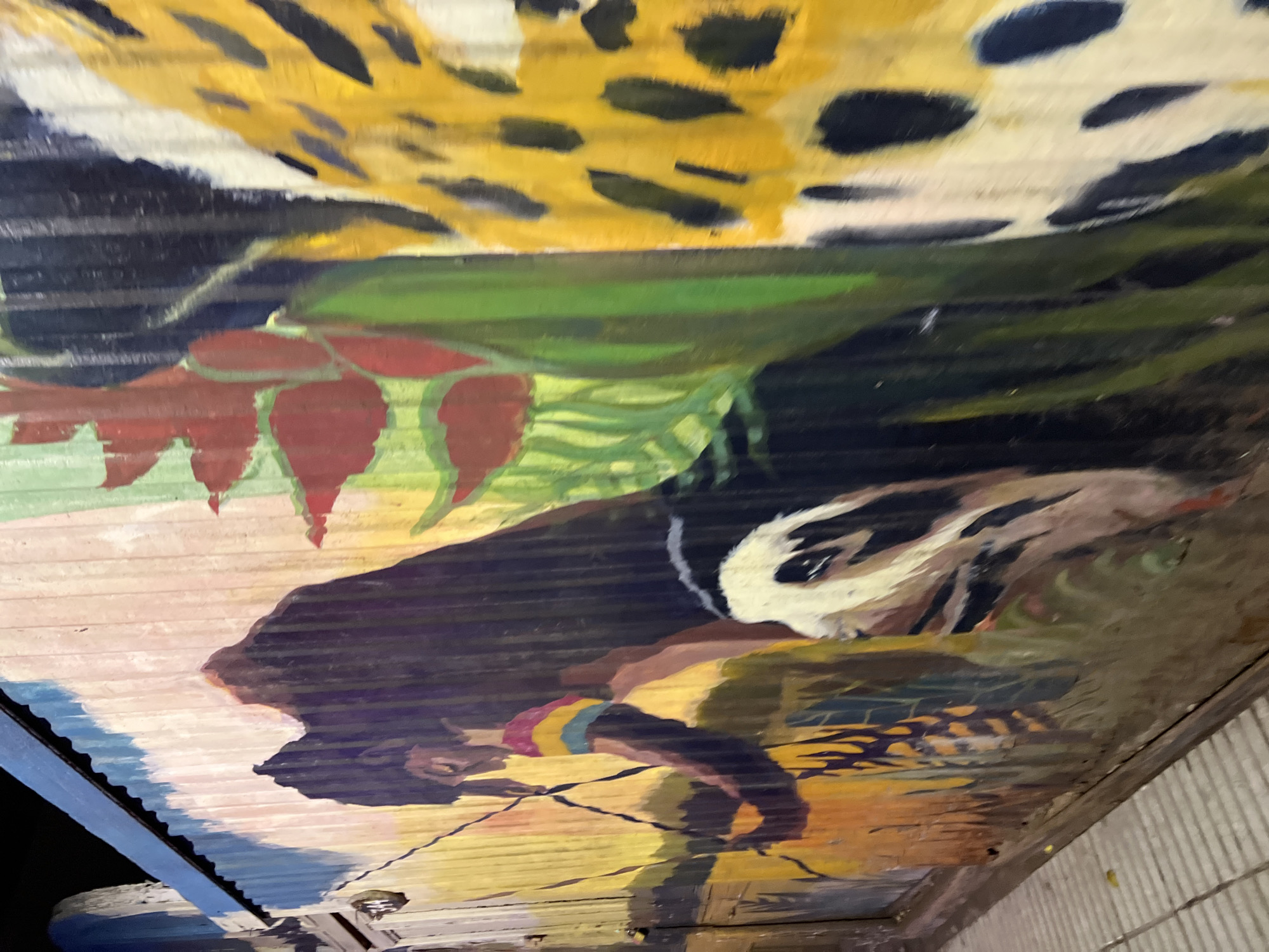 The image shows a section of a mural painted on a corrugated metal wall in Arica, Chile. The mural depicts a person in the foreground, with a dark silhouette wearing a colorful, striped band around their upper arm, possibly an indigenous individual, holding what appears to be a fishing rod or spear. Behind this figure, a large, spotted pattern, characteristic of a jaguar's fur, is visible, along with large red and green floral elements. The background features a stylized landscape of hills or mountains in muted tones of pink, purple, and yellow, with a bright blue border along the top of the wall. The corrugated texture of the metal wall is evident throughout the mural, influencing the painted surface. The lower part of the mural appears to show the face of an animal, possibly a domestic cat or a stylized representation. The ground in front of the mural is a paved walkway with distinct lines. The lighting suggests it is either dusk or night, with artificial light illuminating the scene.
