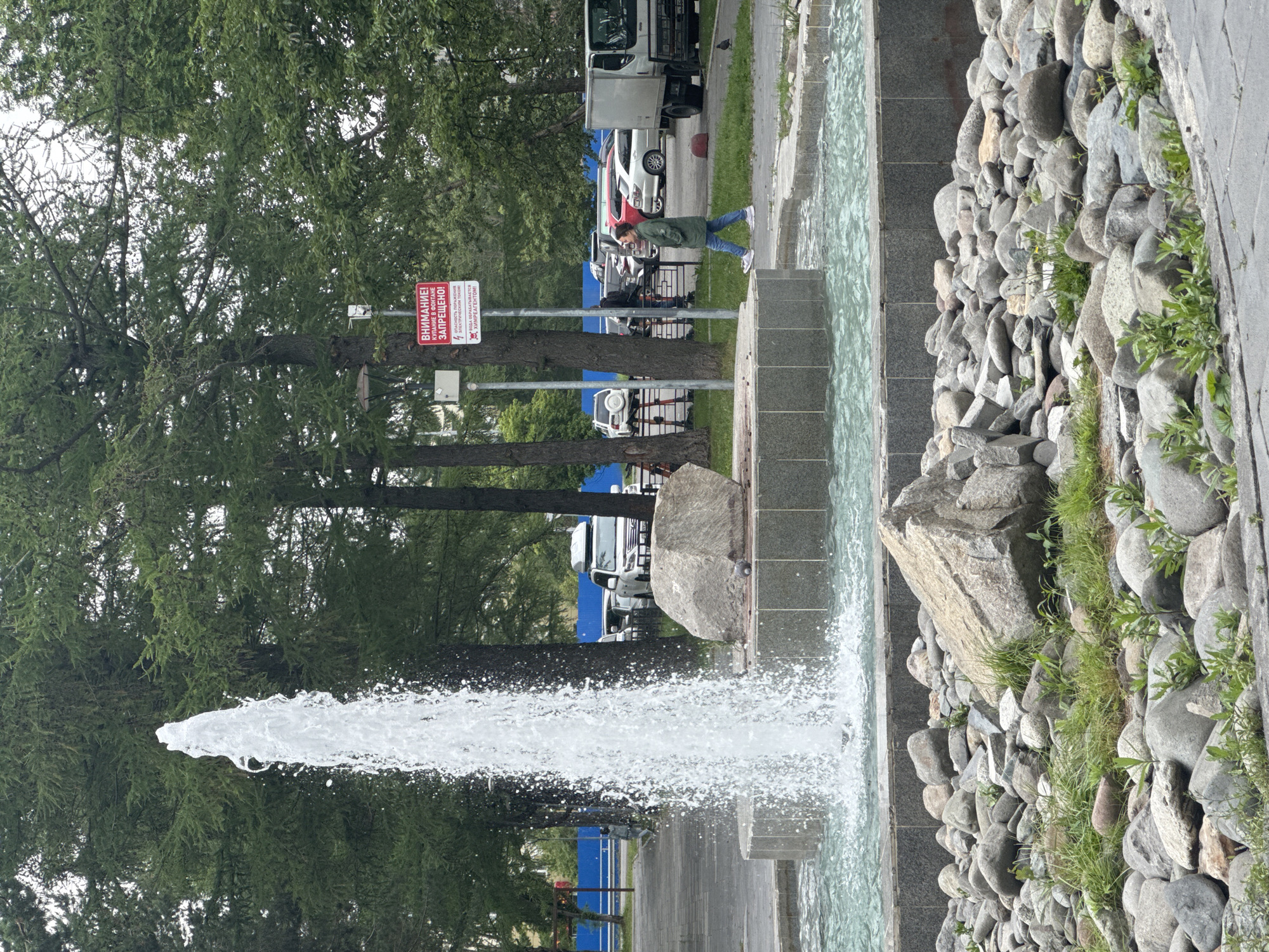 A fountain with a tall plume of water is the central feature of this outdoor scene. The fountain is surrounded by a basin of turquoise water, and the foreground is filled with a rocky, naturalistic landscaping of various-sized stones and scattered green vegetation. In the background, a woman in a green jacket and jeans walks across a paved area to the right of the fountain. Behind her, a line of parked cars, including a white SUV with a roof rack and a white truck, are visible. Several tall evergreen trees with dense foliage are positioned behind the fountain and the woman. A red and white warning sign is affixed to a pole amidst the trees, indicating caution. The ground appears to be a mix of paved walkways and grassy areas. The sky is overcast. This scene is located in the city of Sosnovka, Russia.