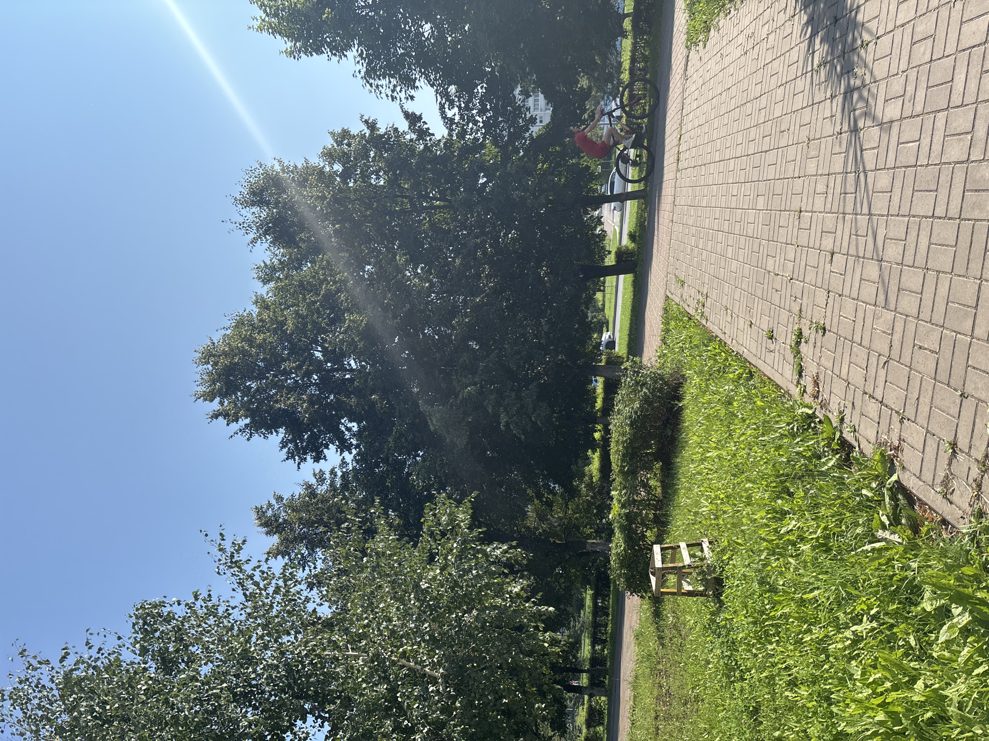 The image depicts an outdoor scene on a sunny day, likely in Naberezhnye Chelny, Russia. The foreground is dominated by a paved walkway made of rectangular gray bricks, which curves to the right. Adjacent to the walkway is a strip of lush green grass interspersed with weeds. Further into the scene, large trees with dense green foliage cast shadows on the ground. A small wooden bench or structure is visible on the grass. In the background, a person in a red shirt is seen standing next to a bicycle on the paved path. The sky is a clear, bright blue with a prominent sun flare indicating it is daytime, possibly mid-morning or afternoon, given the angle of the light. The overall atmosphere appears peaceful and recreational. There is no visible text in the image.
