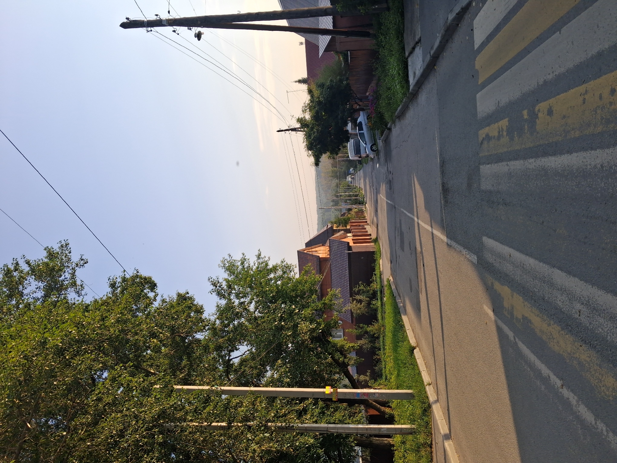 The image depicts a street scene in Novosibirsk, Russia, likely on a clear day with the sun casting long shadows. In the foreground, a pedestrian crossing is visible on an asphalt road. To the left, a large tree with dense green foliage is prominent, with a utility pole beside it. Behind the tree, a two-story wooden house with a dark-tiled roof can be seen, bordered by a wooden fence.
The road stretches into the distance, lined with houses and trees on both sides. Several cars are parked along the street, including a silver sedan and a white van. Overhead, power lines are strung between utility poles, a common sight in urban and suburban areas. The sky is a pale blue, indicating fair weather. The overall impression is a quiet residential street during daylight hours.