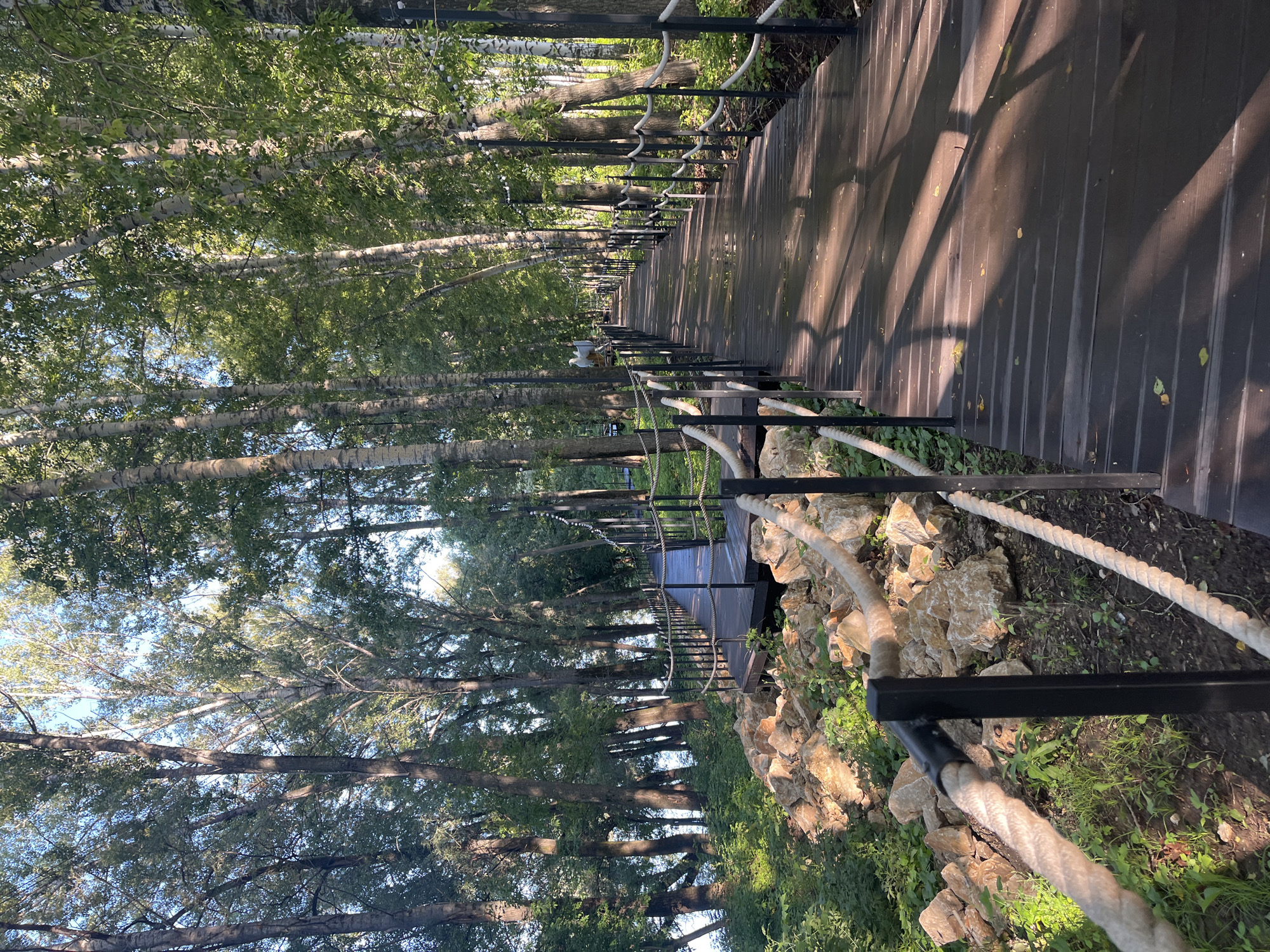 The image shows a wooden boardwalk winding through a wooded area, likely near a body of water as suggested by the distant greenery. The boardwalk is dark wood, with black posts and thick rope railings. Sunlight filters through the trees, casting shadows on the wet surface of the boardwalk, indicating recent rain. Rocky terrain with sparse vegetation lines the left side of the boardwalk. The trees are tall and slender, with lighter colored bark, suggesting they are birches or similar species. In the distance, more trees create a dense forest canopy. The overall atmosphere is peaceful and natural. The location is identified as a boardwalk in the Salavat Yulaev Botanical Garden in Ufa, Russia.