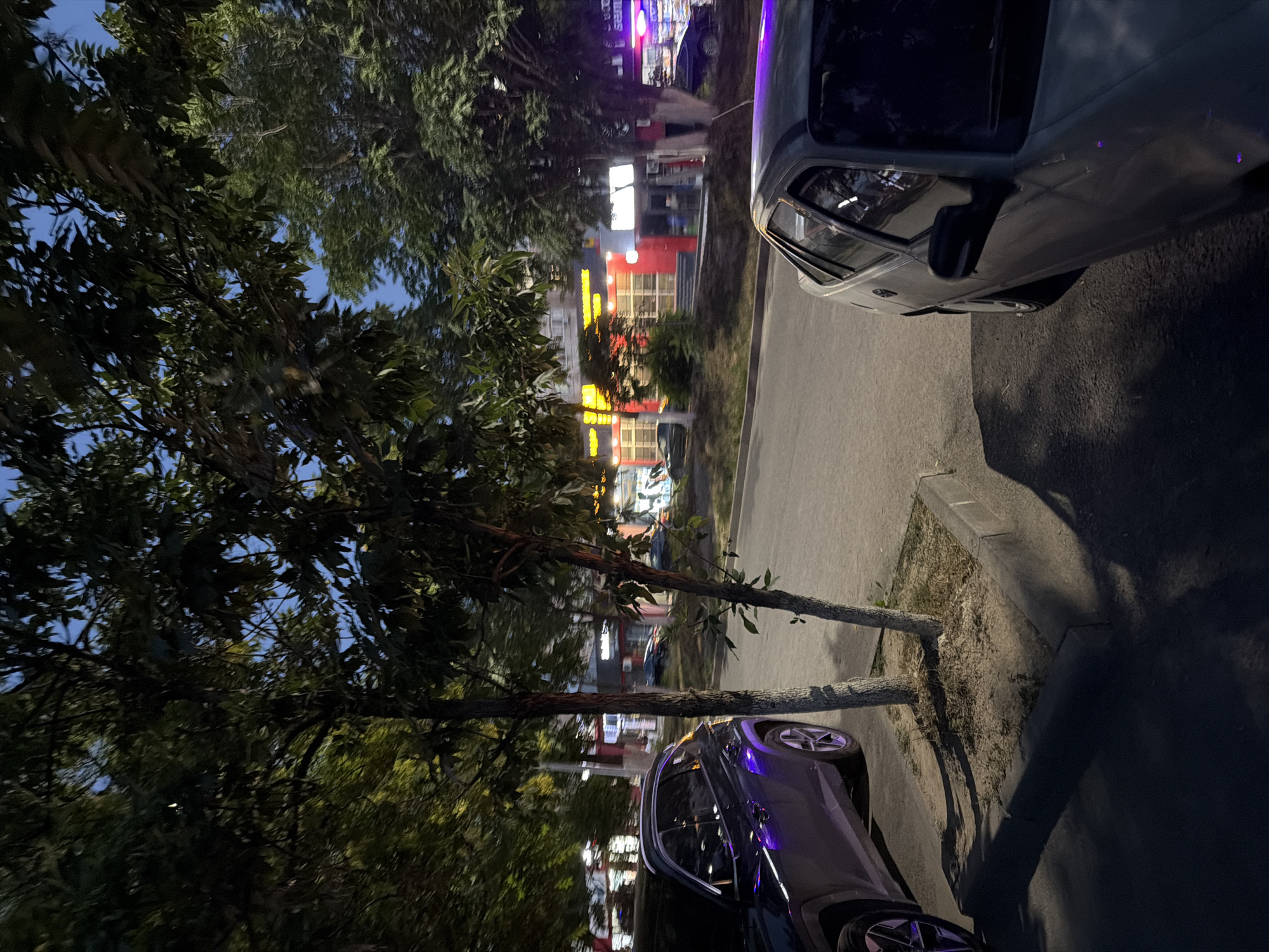 The image depicts a street scene at dusk in Shymkent, Kazakhstan. Two cars are visible: a lighter-colored car on the right, partially obscuring the view of shops and buildings behind it, and a dark-colored car parked on the left. The buildings appear to be commercial establishments, with bright, illuminated signage, suggesting they are open for business. Trees with green foliage are prominent in the foreground, casting shadows on the pavement. The sky is a deep blue, characteristic of twilight. The overall mood is calm and urban. No people are visible in the frame.