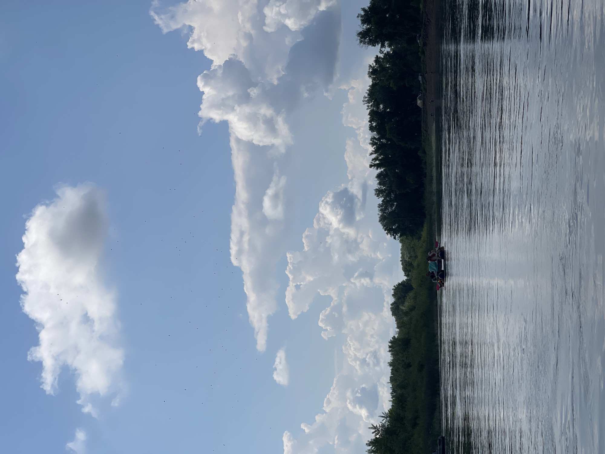 The image depicts a wide, calm river with a tree-lined bank in the background. Several people are visible in a raft on the water, with some holding paddles. The sky is filled with numerous white, fluffy cumulus clouds, and small dark specks, possibly birds, are scattered across the sky. The lighting suggests it is daytime. The scene appears to be a recreational activity on a natural body of water.