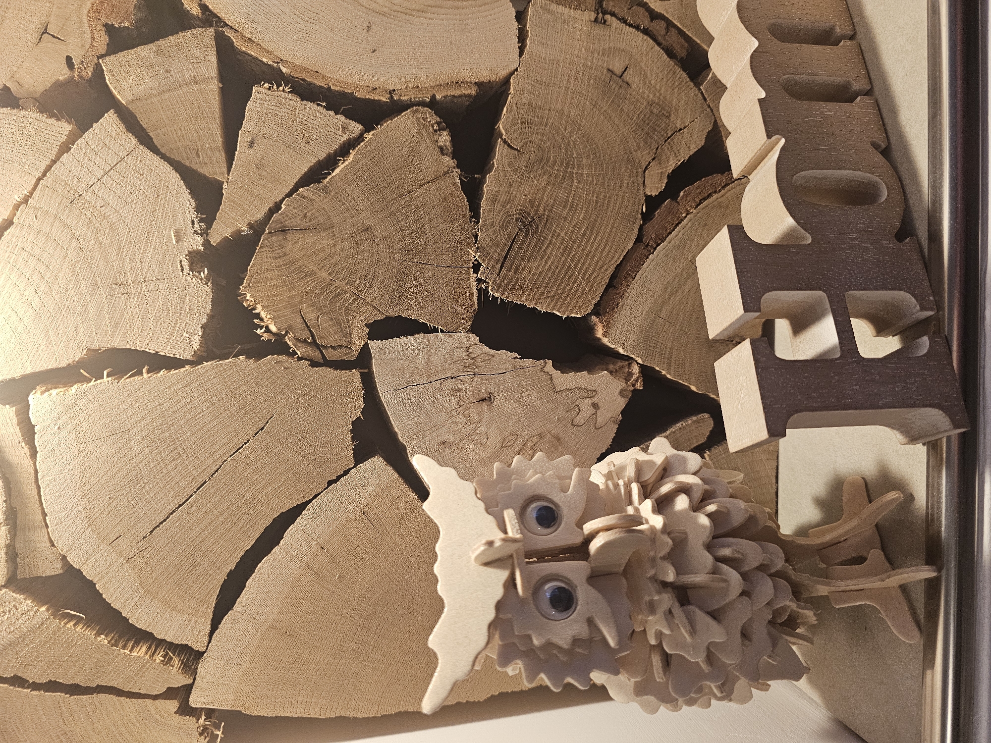 A wooden owl figurine stands to the left of a sign that reads "Home" in a rustic setting. The owl is intricately carved from light-colored wood, with large, googly eyes. The "Home" sign is made of darker wood and is positioned to the right of the owl. Behind the objects, a stack of rough-cut firewood is visible, with visible wood grain and cracks. The scene is lit from above, casting shadows and highlighting the textures of the wood. The location is unknown.