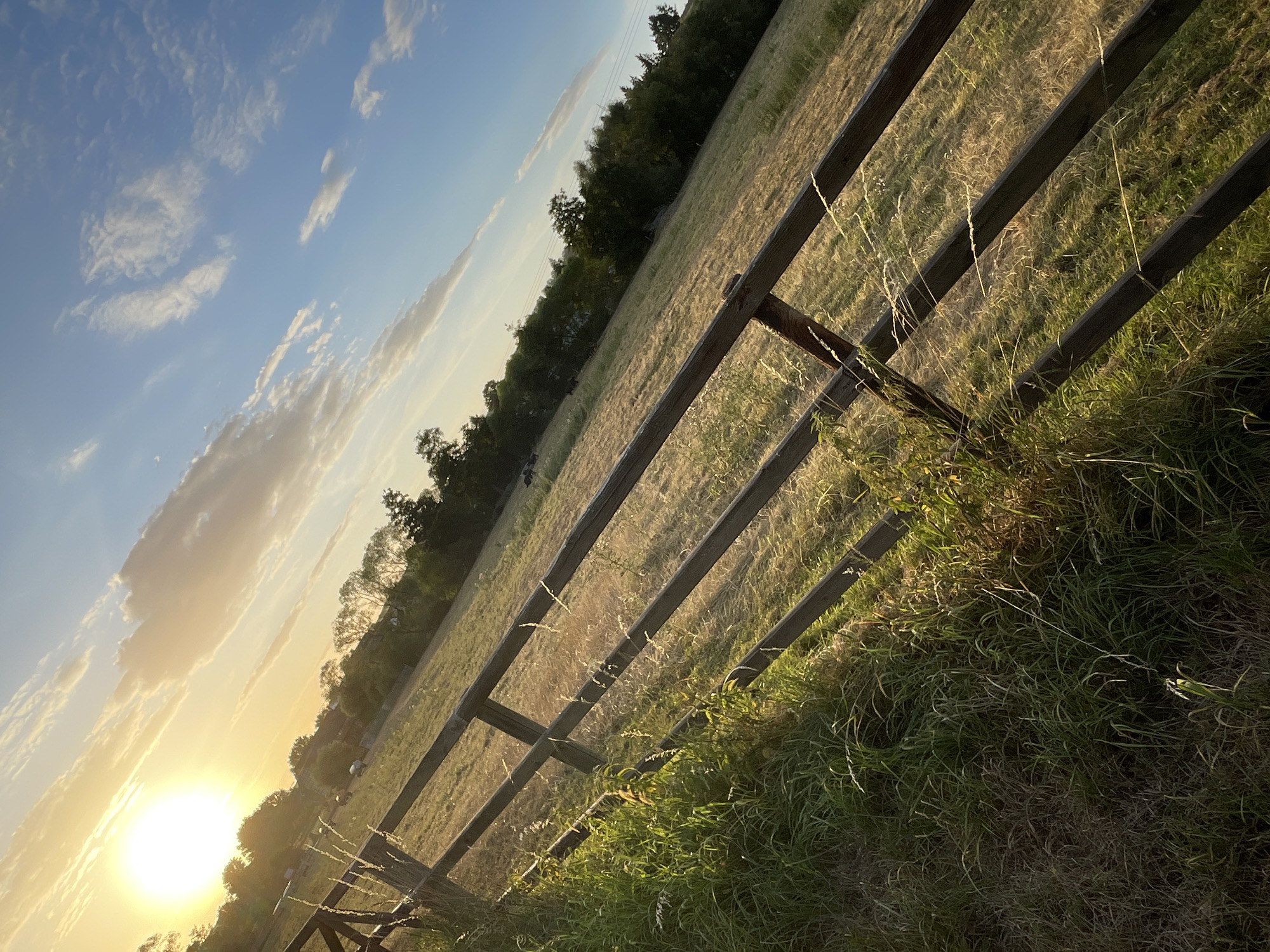 The image depicts a rural landscape during golden hour, likely near Rückershausen, Germany. The sun is low in the sky, casting a warm glow over a grassy field bordered by a wooden fence. Tall grass and wildflowers grow along the fence line, with some blades catching the sunlight. In the distance, trees form a dark line against the horizon, and a few dark shapes, possibly animals or hay bales, are visible in the field. The sky is a clear blue with scattered clouds, some tinged with orange from the setting sun. The perspective is angled, with the fence running diagonally across the frame. The overall impression is one of tranquility and natural beauty.