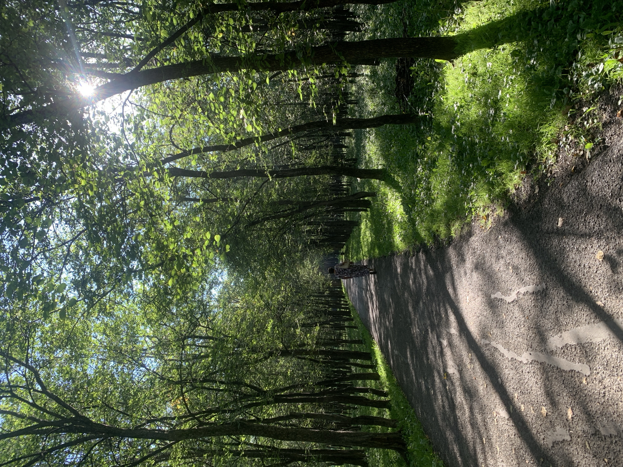 A lone individual walks along a paved path through a sun-dappled forest. The path is bordered by lush green grass and tall trees with dense foliage, creating a canopy overhead. Sunlight streams through the leaves, casting shadows on the path. The person, seen from behind, is wearing a patterned dress and carrying a bag. The scene appears tranquil and serene, evoking a sense of peace and solitude.