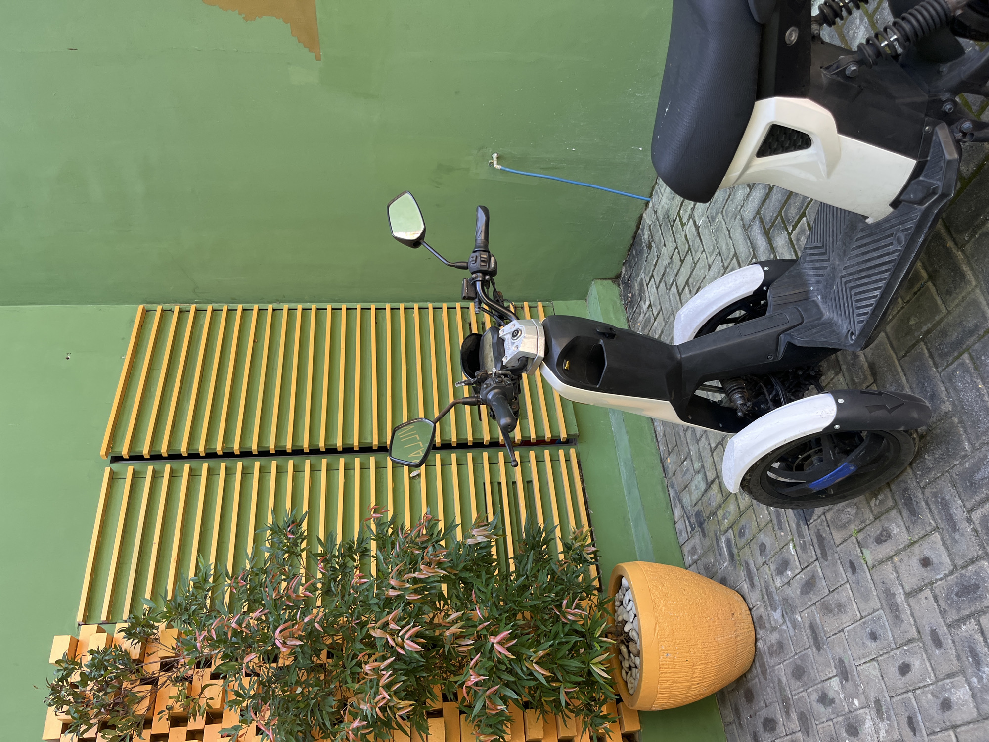 In Kuta Selatan, Indonesia, an electric scooter with a white and black body is parked on a grey brick paved ground. The scooter faces towards the right of the frame. To the left of the scooter, a potted plant with lush green leaves and some reddish-pink new growth is situated in an orange textured pot. Behind the scooter and plant, a bright green wall serves as the backdrop, with a section of yellow horizontal louvers on the left side of the image. A thin blue hose is visible on the green wall, running from a spigot. The scene appears to be an outdoor area, possibly a courtyard or alleyway.