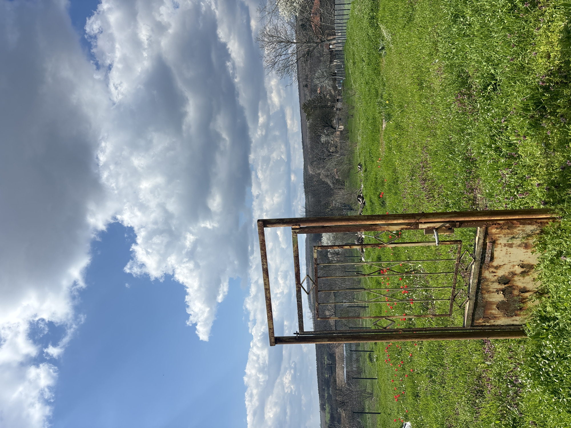 A rusty, weathered metal gate stands open in a grassy field, likely in a rural setting near Makariopolsko, Bulgaria. The sky above is partly cloudy, with patches of blue sky visible. The grass is green and speckled with red tulips and other wildflowers. In the background, a wooded area stretches along a hillside. The gate's rusted appearance suggests it is old and infrequently used. Two magpies appear to be in the middle ground of the image.