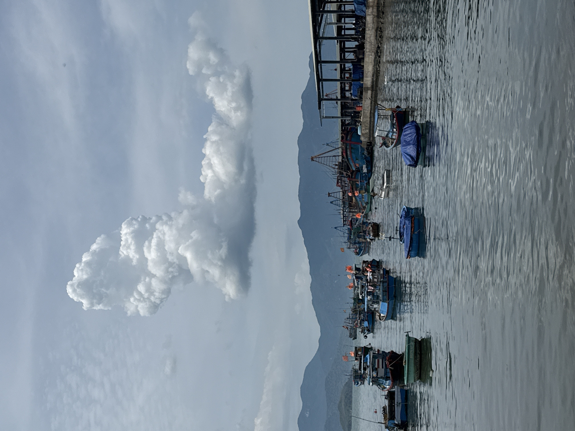 The image depicts a harbor in Vĩnh Lương, Vietnam, filled with numerous fishing boats. The boats are of varying sizes and colors, with some appearing to be small, traditional vessels and others larger, modern fishing trawlers. Many of the boats are adorned with colorful flags. In the background, a range of mountains can be seen, partly obscured by a cloudy sky. A large building structure with a covered roof and columns runs along the edge of the harbor, suggesting a market or a docking area. The water is calm, reflecting the boats and the sky. Several boats are moored together, while others are anchored individually. The overall scene conveys a sense of activity and livelihood associated with a fishing community.