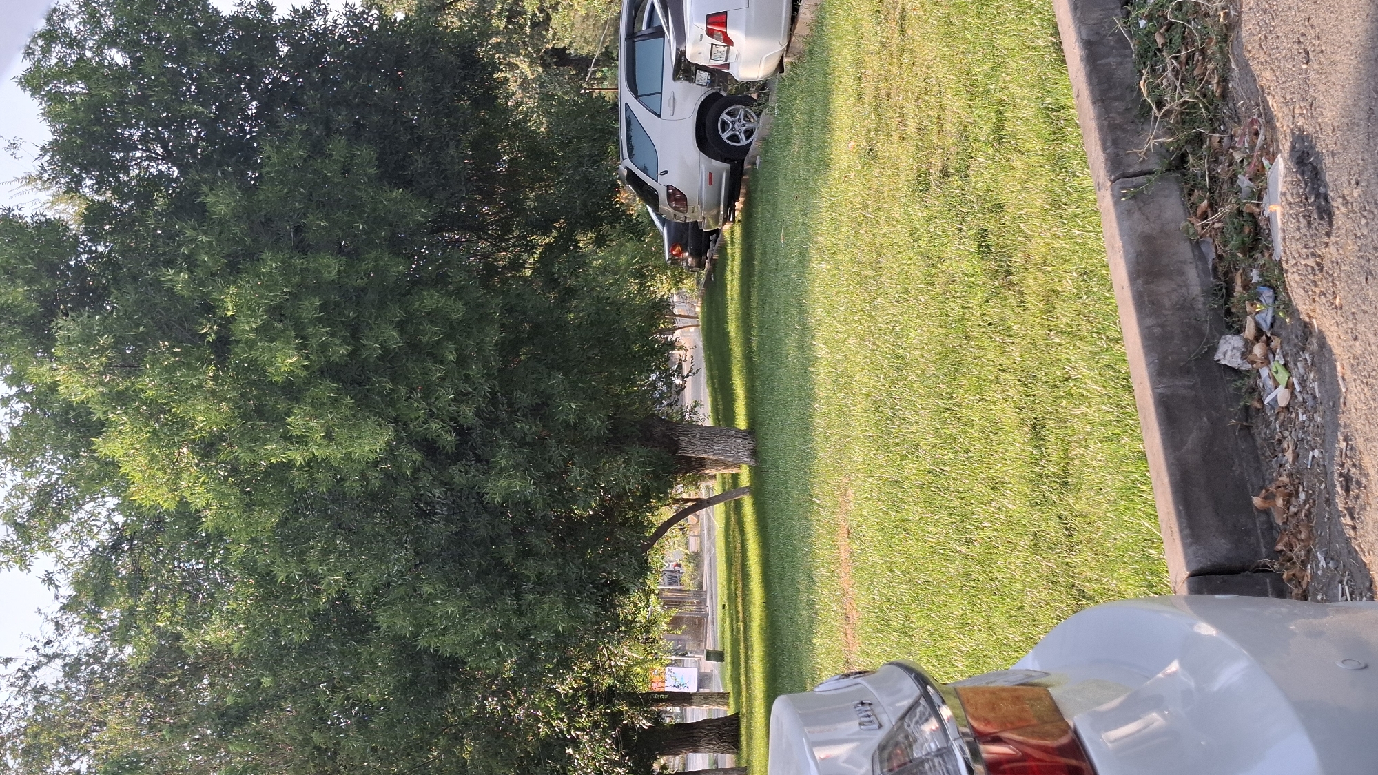 The image depicts a scene in Shymkent, Kazakhstan, likely a park or a residential area with ample green space. In the foreground, the rear of a white car is visible, facing towards the left. Beyond the car is a well-maintained lawn bathed in sunlight, with shadows cast by trees. Several mature trees with dense green foliage are prominent in the middle ground and background. Parked cars are visible on the right side of the image, next to a curb. The environment suggests a relatively peaceful outdoor setting, possibly during daytime.