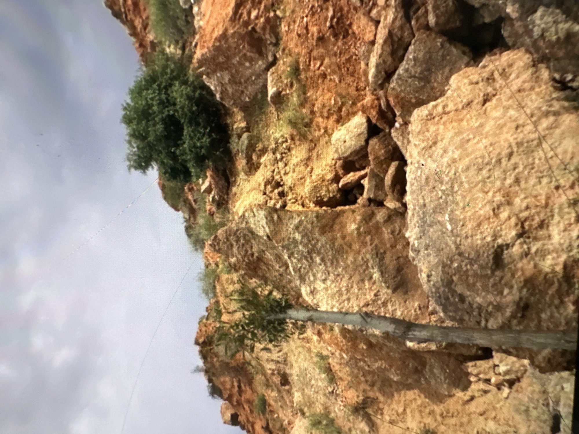 The image depicts a rocky, arid hillside under a cloudy sky. The terrain is characterized by large, angular rocks and boulders, predominantly in shades of orange and brown. Sparse, dry vegetation, including grasses and a few small bushes, is scattered across the slopes. A prominent feature is a thin, tall tree trunk standing vertically on the left side of the frame, with some foliage at its top. In the upper right portion of the image, a dense green shrub or small tree is visible. The sky is overcast with a muted, grey hue. The overall scene suggests a natural, undeveloped environment, potentially a mountainous or hilly area. There are no discernible human figures or signs of urban infrastructure in the frame. The image appears to be a photograph of the landscape.