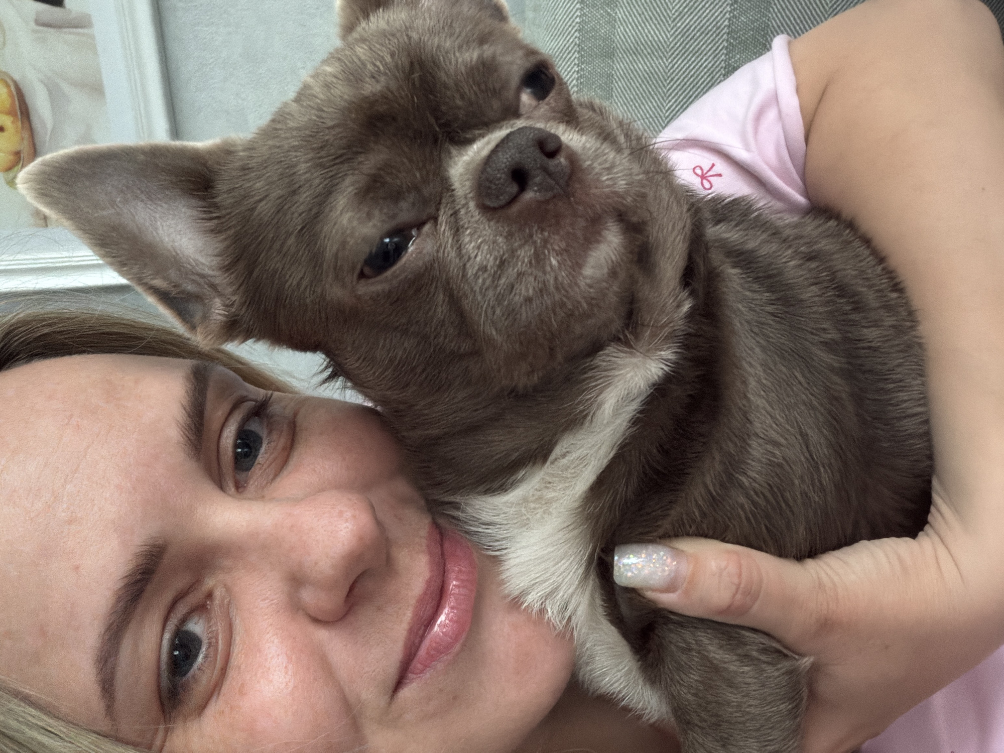 A woman with light skin and blonde hair is holding a gray and white Chihuahua dog close to her face. The woman's face is angled slightly toward the camera. The dog is nestled against her cheek, and the woman's hand is holding the dog. The background is a gray surface, possibly a couch, with a light-colored framed picture hanging on the wall. There is no evidence in the image to indicate the location in Votkinsk, Russia.
